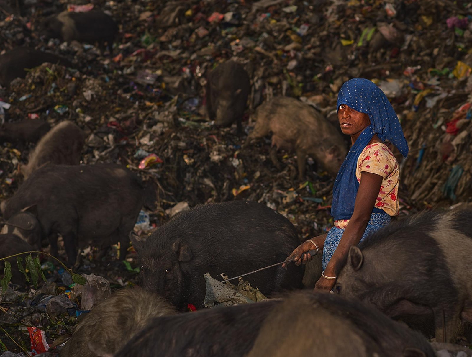 London Photography Awards Winner - 