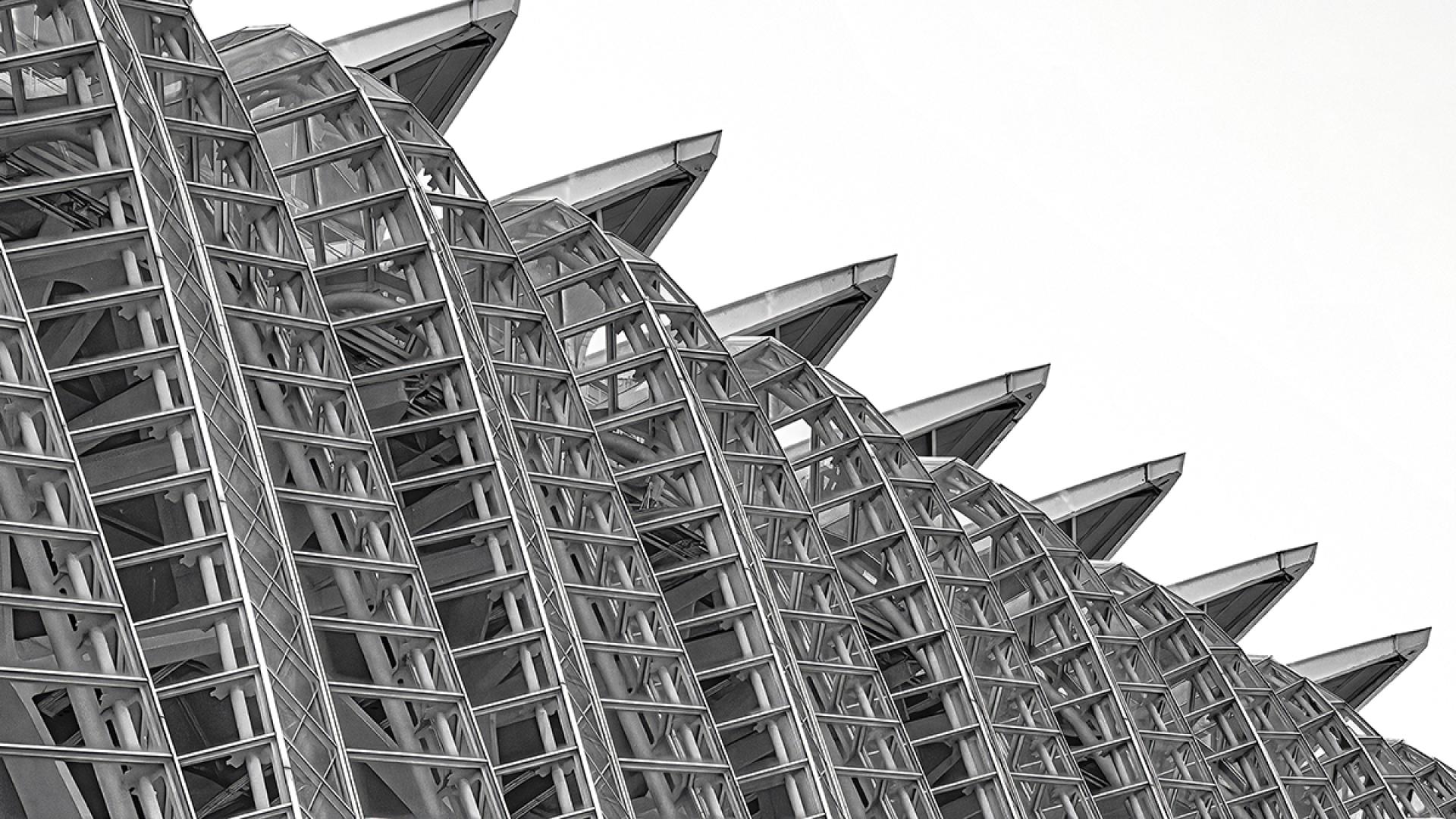 London Photography Awards Winner - Museu de les Ciències Príncep Felip