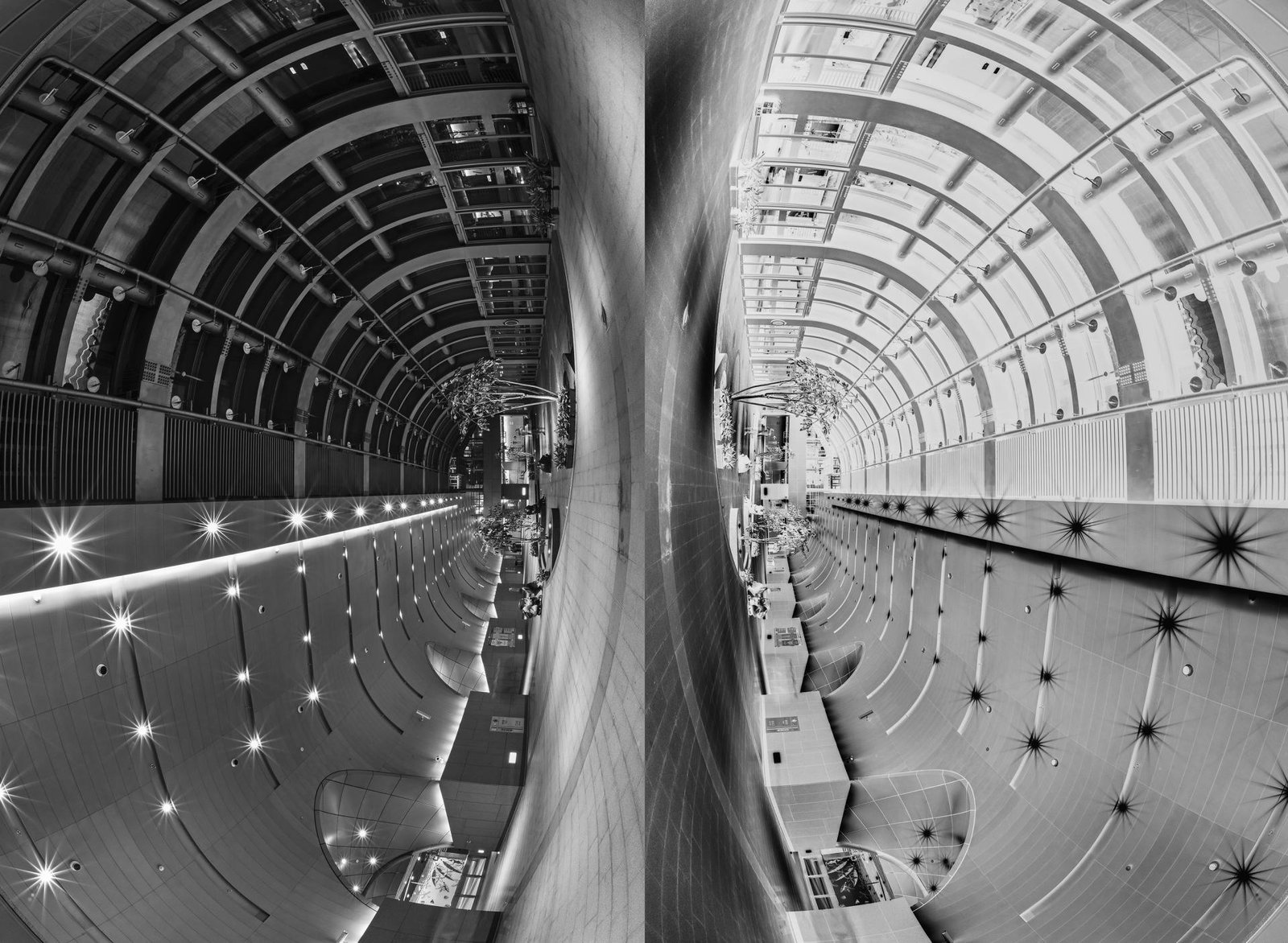 London Photography Awards Winner - Between positive and negative
