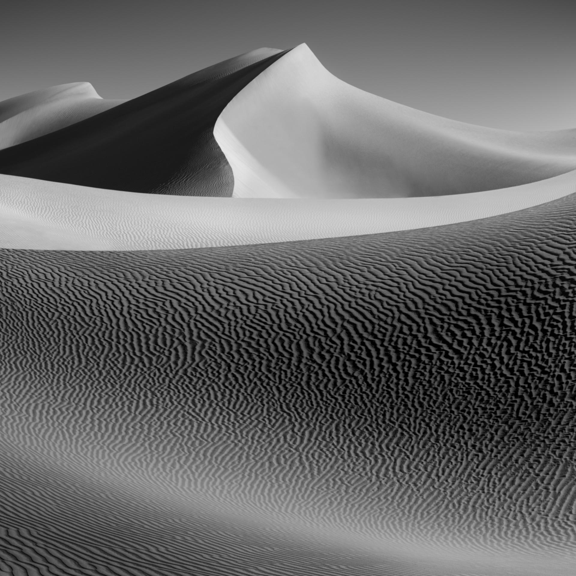 London Photography Awards Winner - SHADOWLANDS