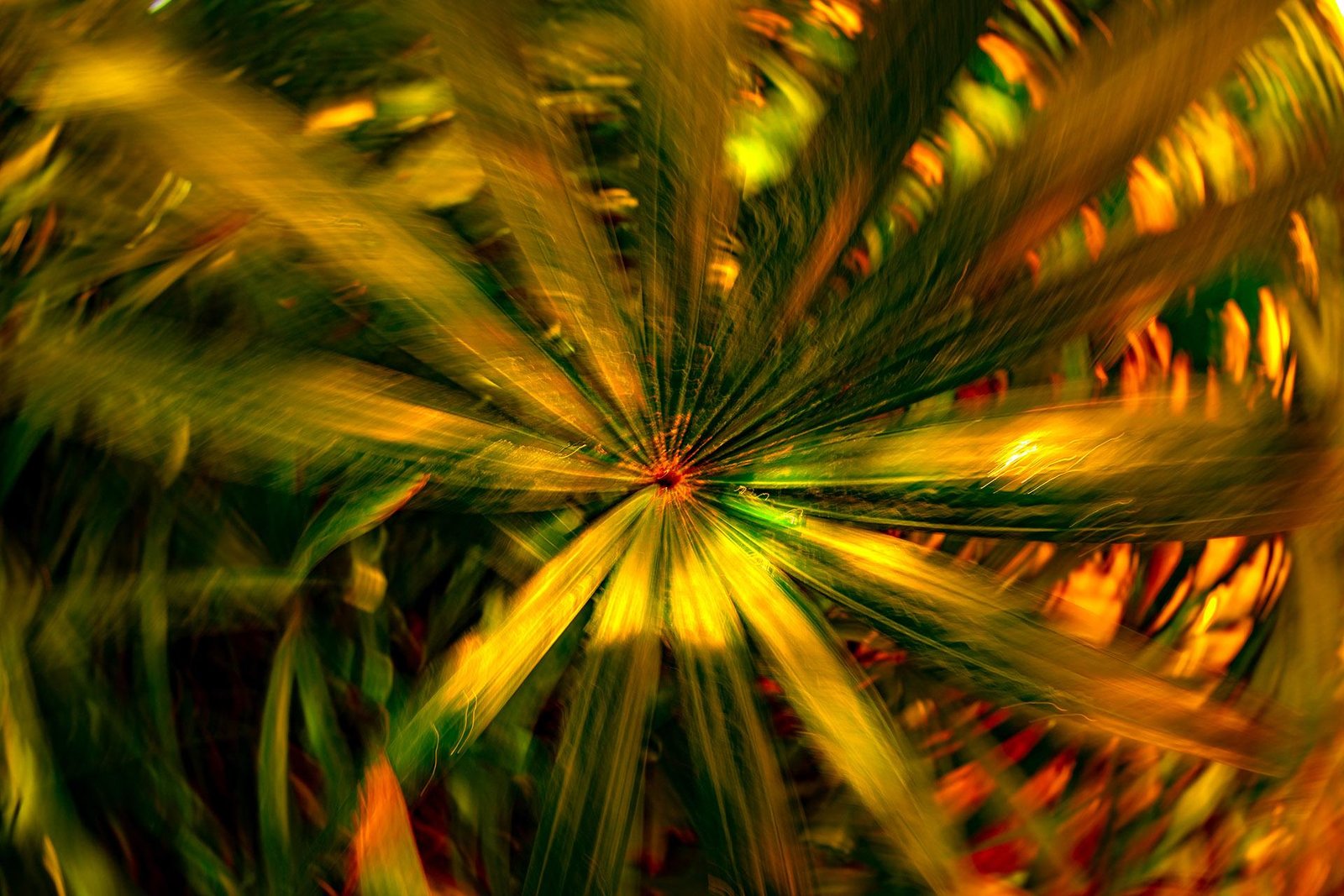 London Photography Awards Winner - Fall into the Void