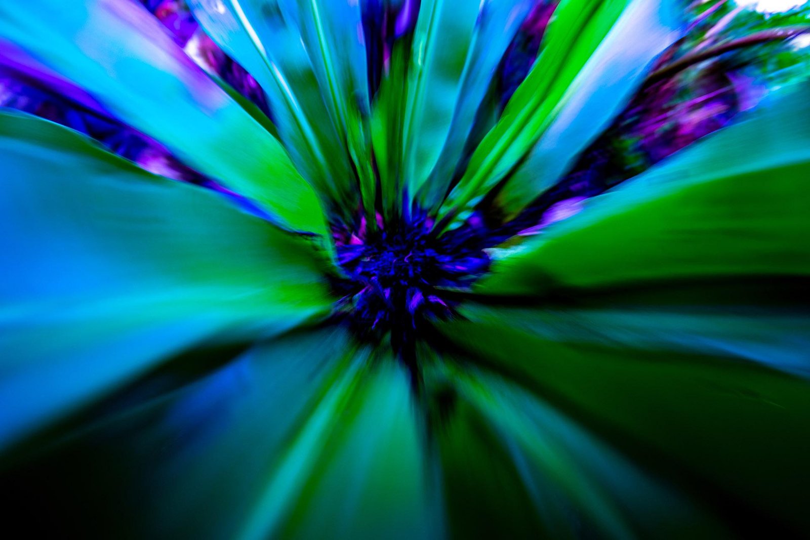 London Photography Awards Winner - Fall into the Void