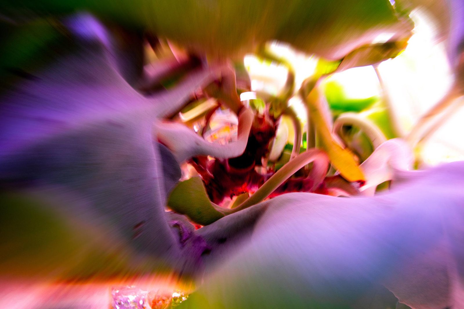 London Photography Awards Winner - Fall into the Void