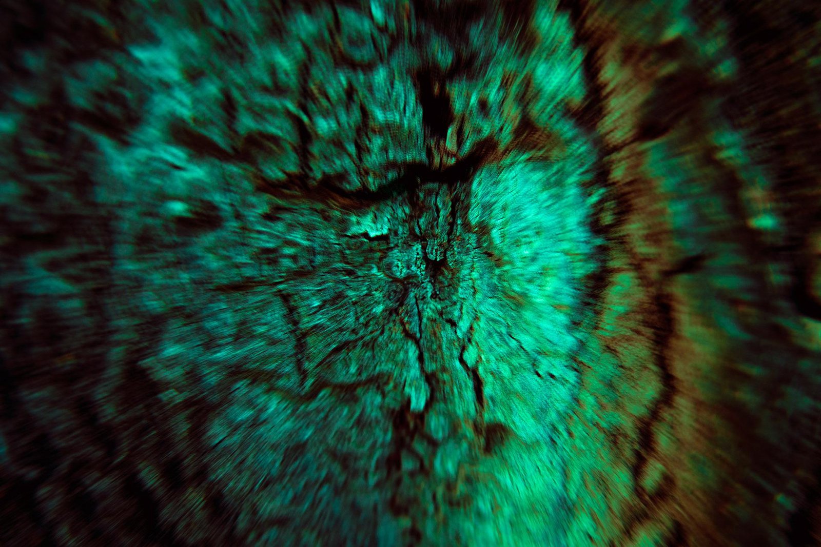 London Photography Awards Winner - Fall into the Void