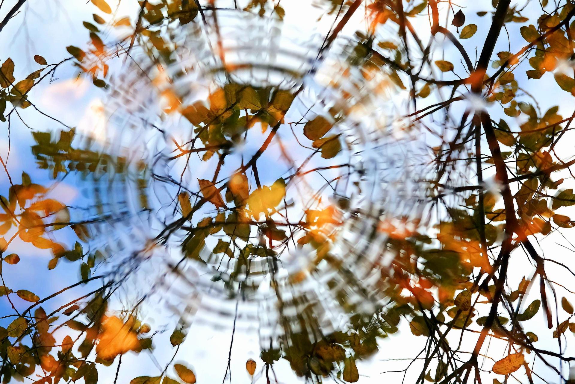 London Photography Awards Winner - Illusion