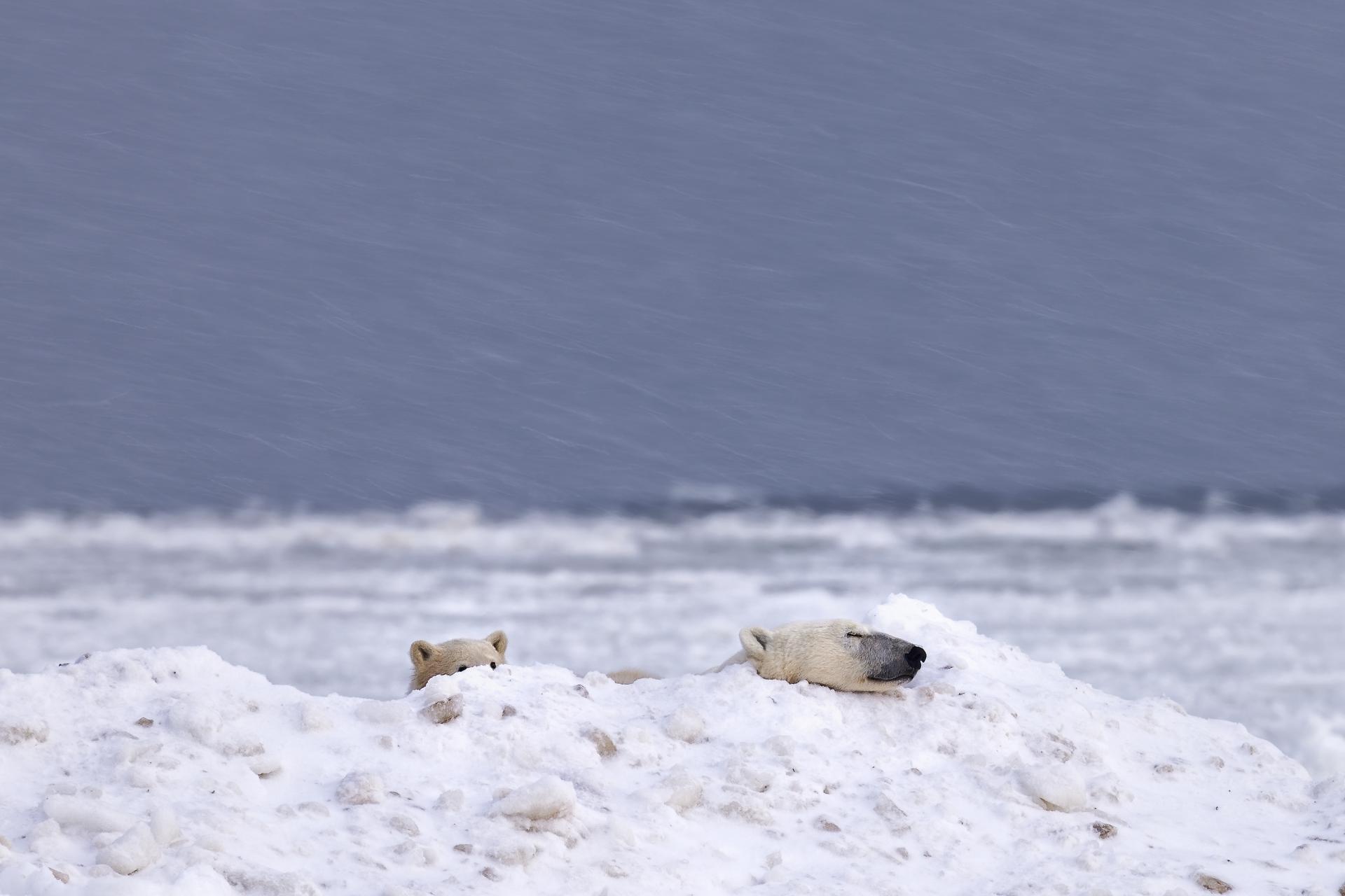 London Photography Awards Winner - Cold days and warm love