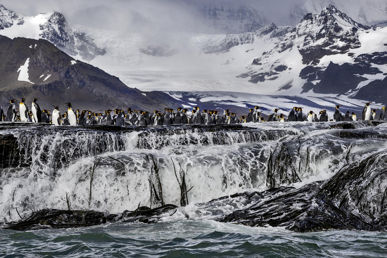 London Photography Awards Winner - Gold Harbour Magic