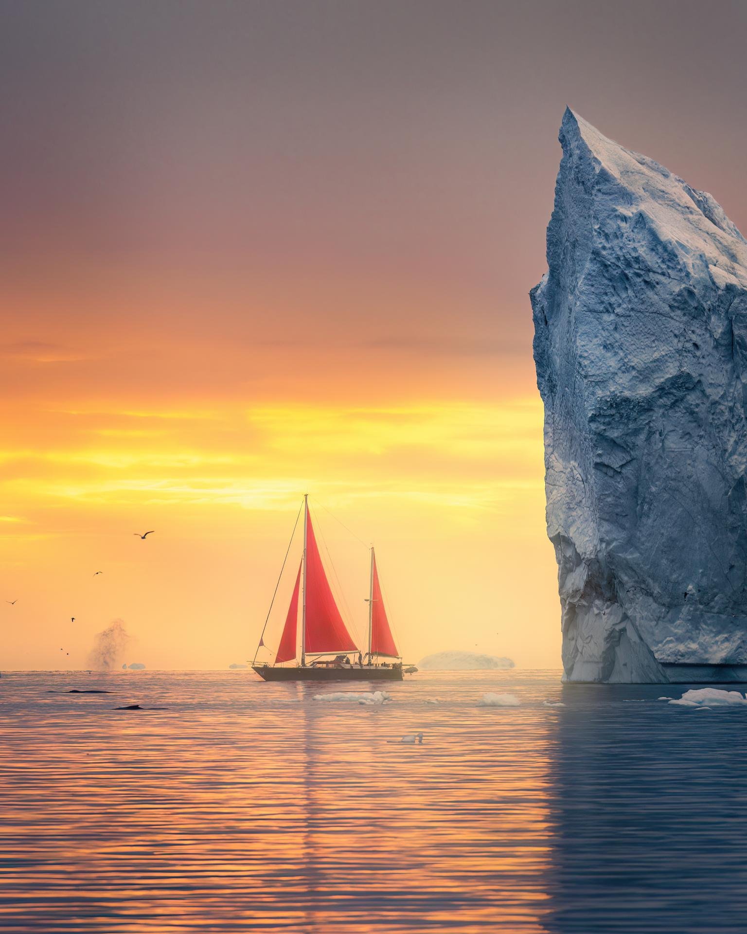 London Photography Awards Winner - Between extremes