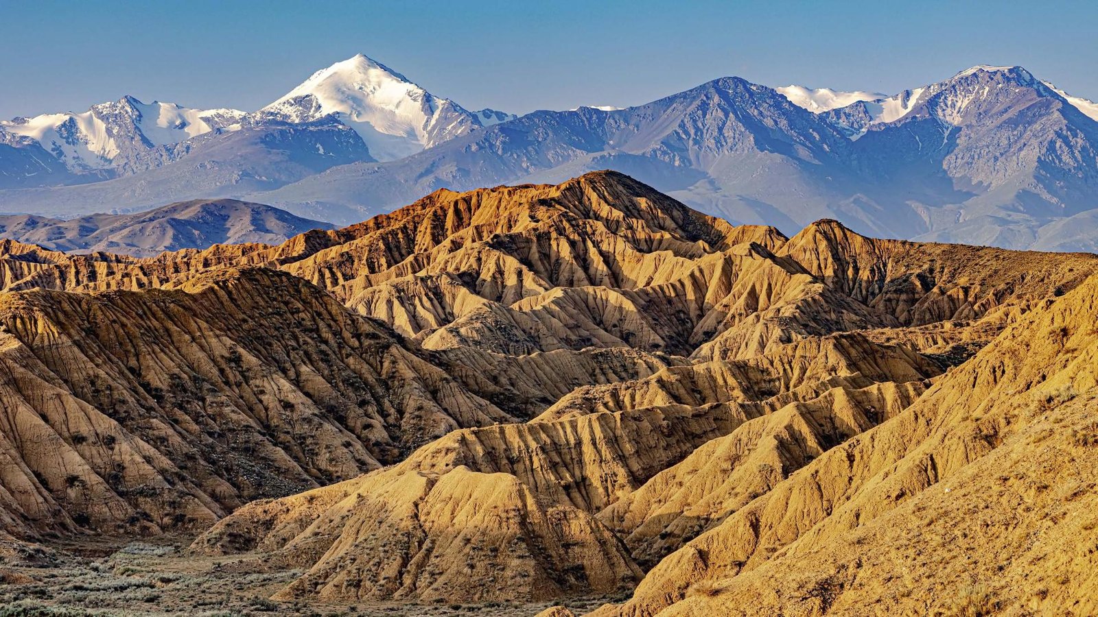 London Photography Awards Winner - Kan'on Aksay