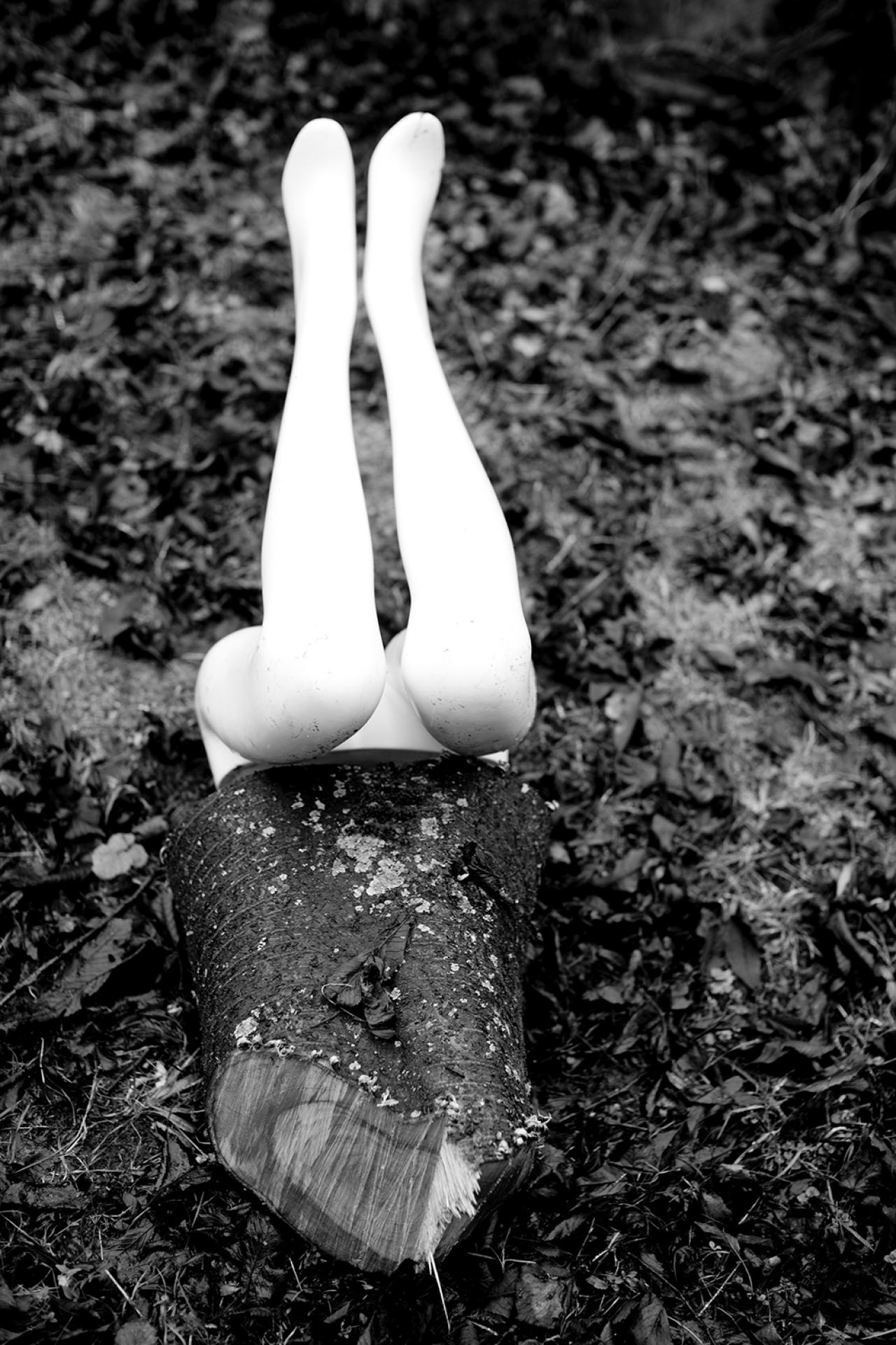 London Photography Awards Winner - The Nature of all Things