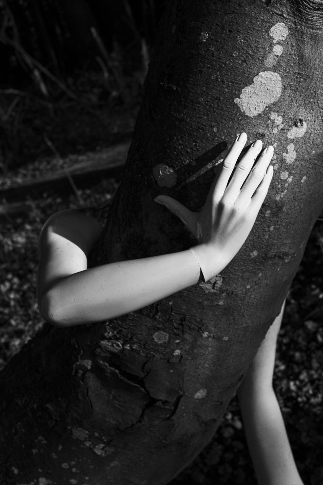 London Photography Awards Winner - The Nature of all Things