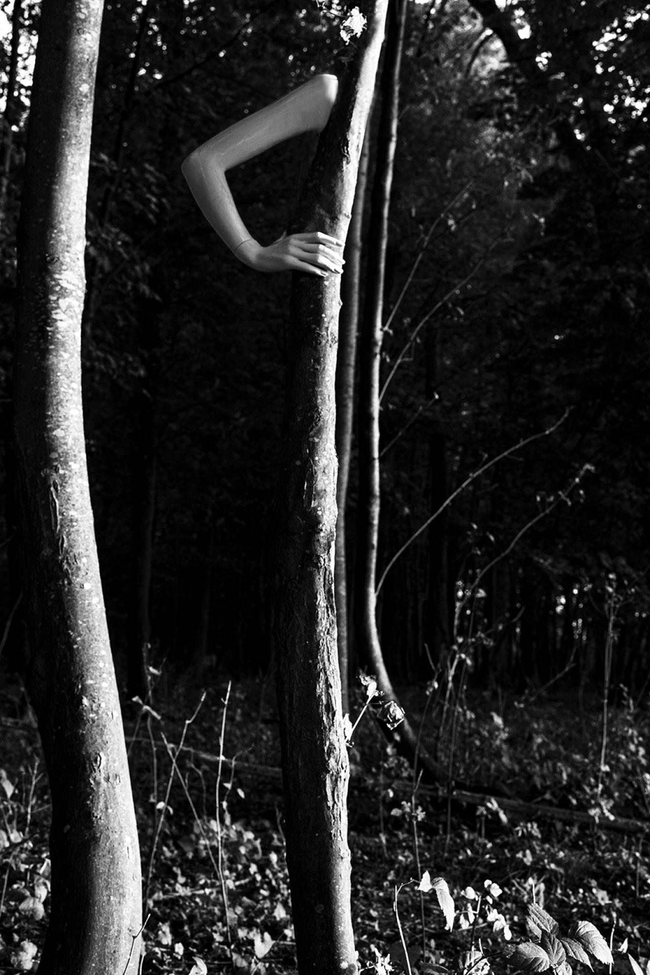London Photography Awards Winner - The Nature of all Things