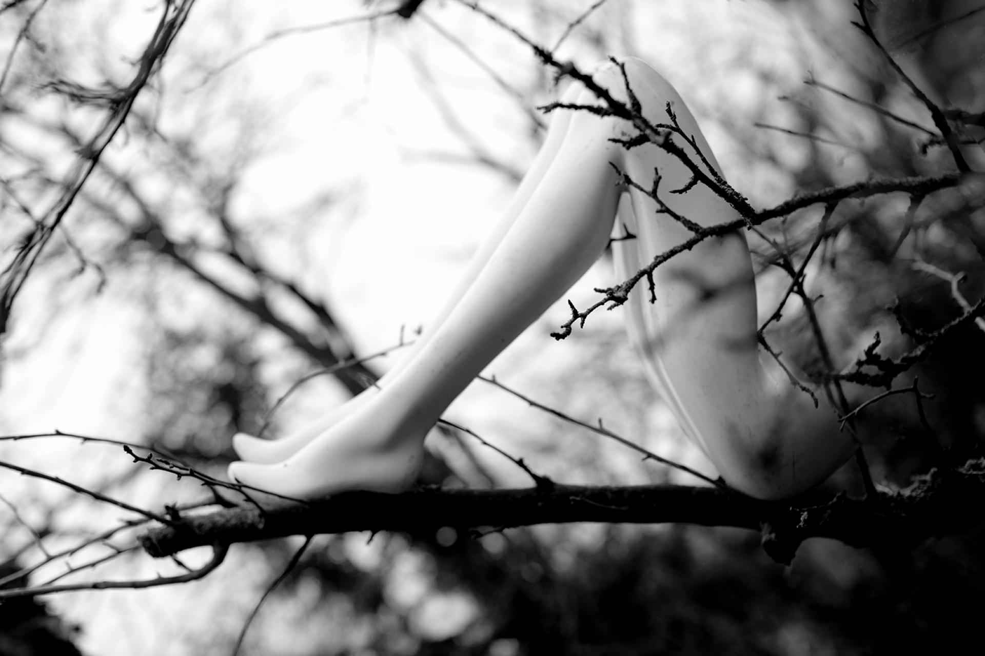 London Photography Awards Winner - The Nature of all Things