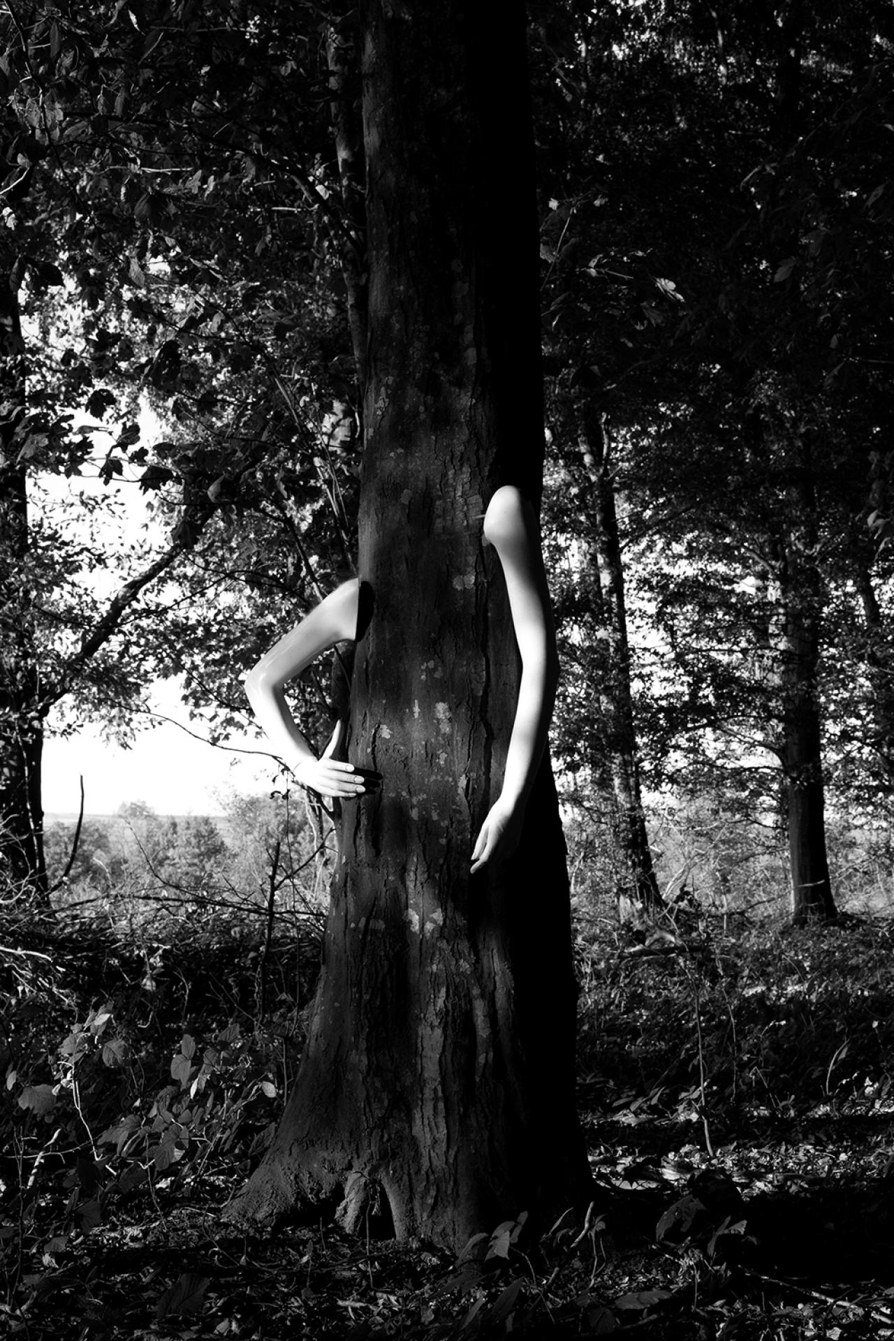 London Photography Awards Winner - The Nature of all Things