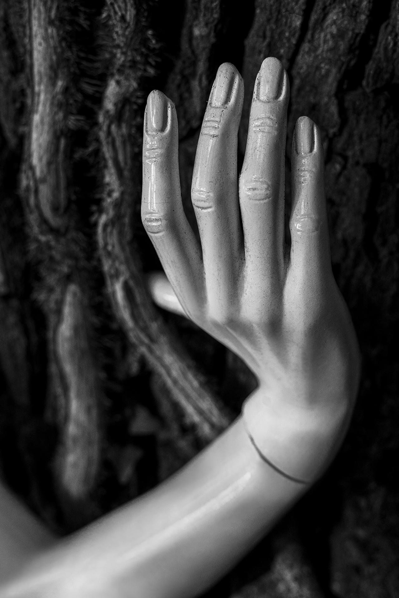 London Photography Awards Winner - The Nature of all Things