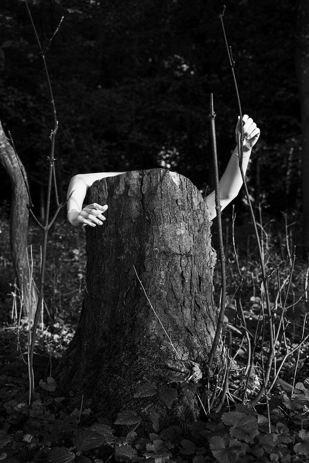 London Photography Awards Winner - The Nature of all Things