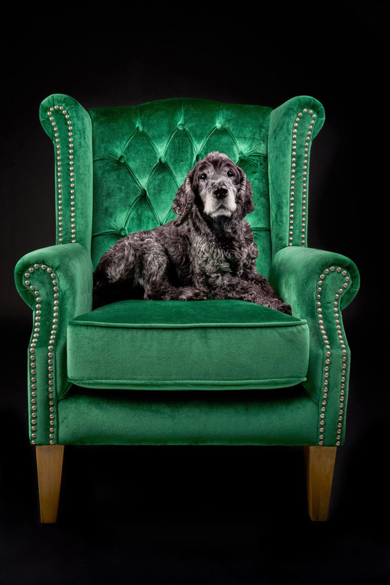 London Photography Awards Winner - King Farouk