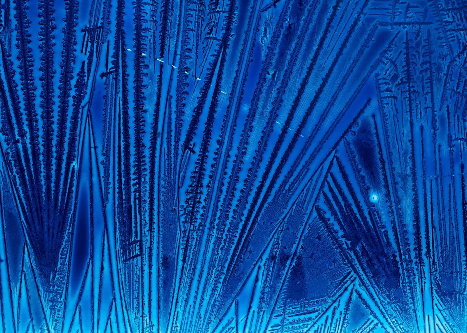 London Photography Awards Winner - The Cyan World