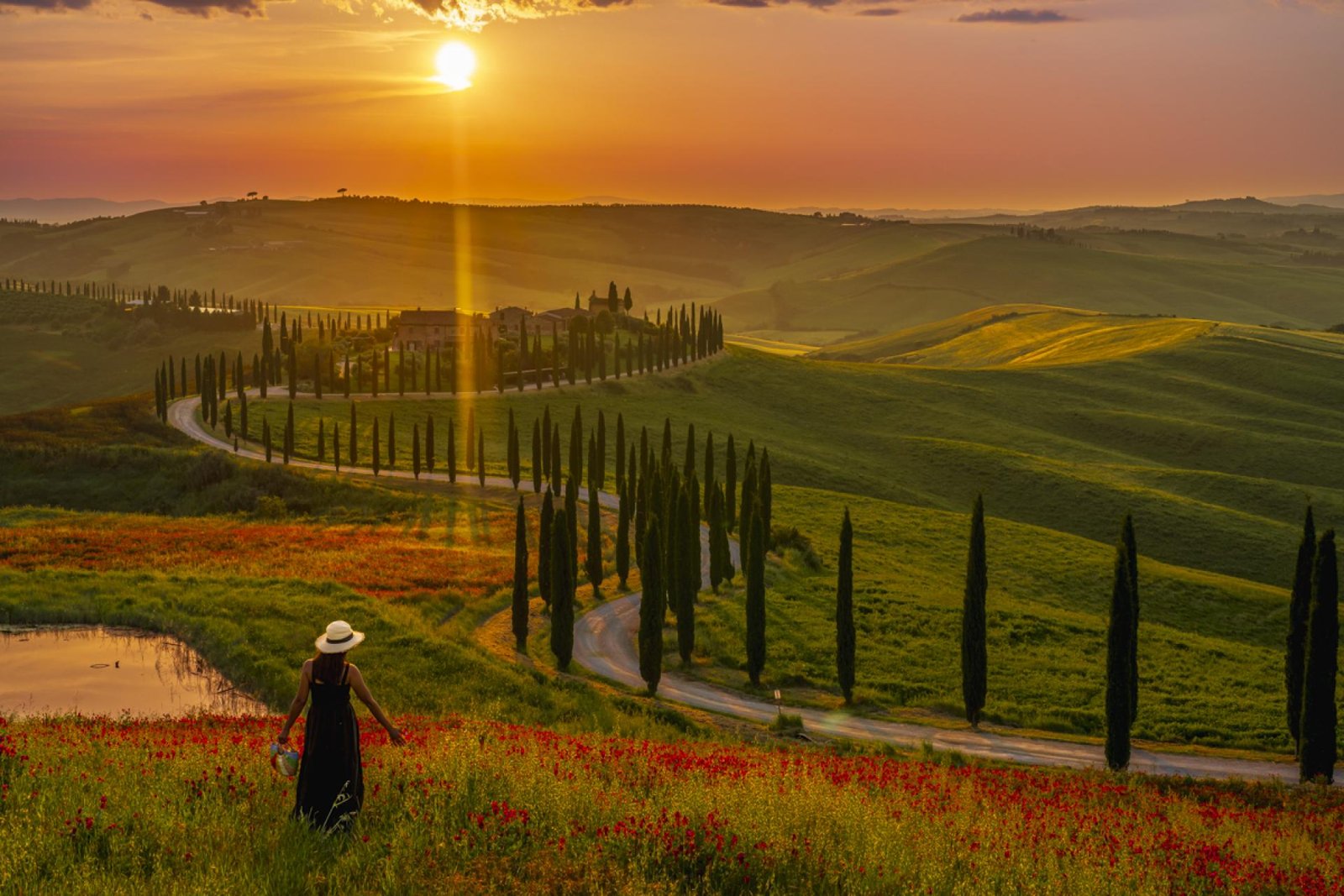 London Photography Awards Winner - Crimson Bloom in Asciano