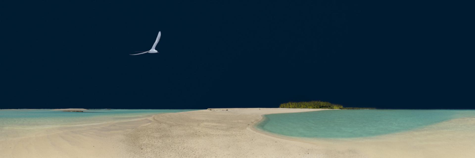 London Photography Awards Winner - Oeno In The Blue