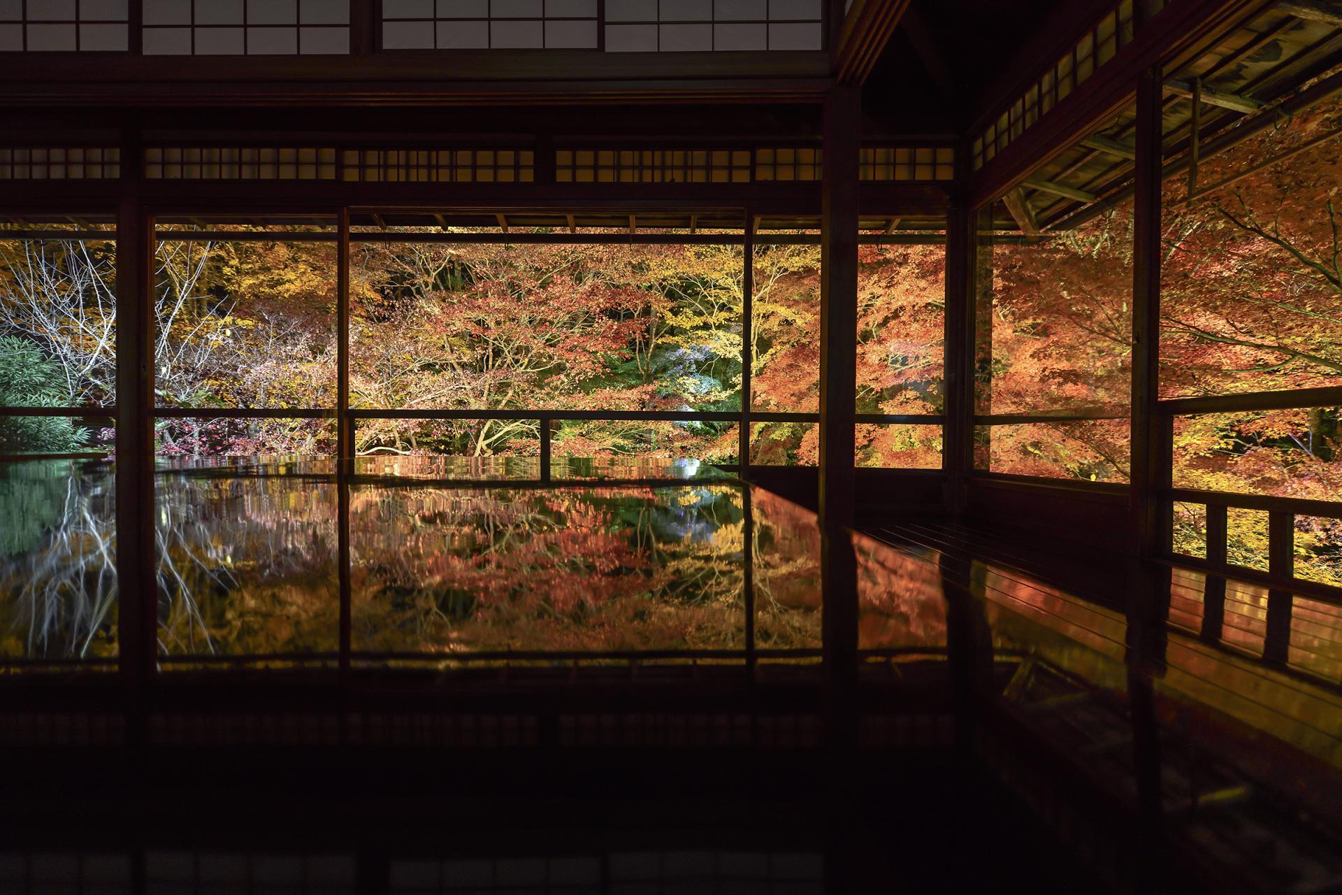 London Photography Awards Winner - Reflection season red