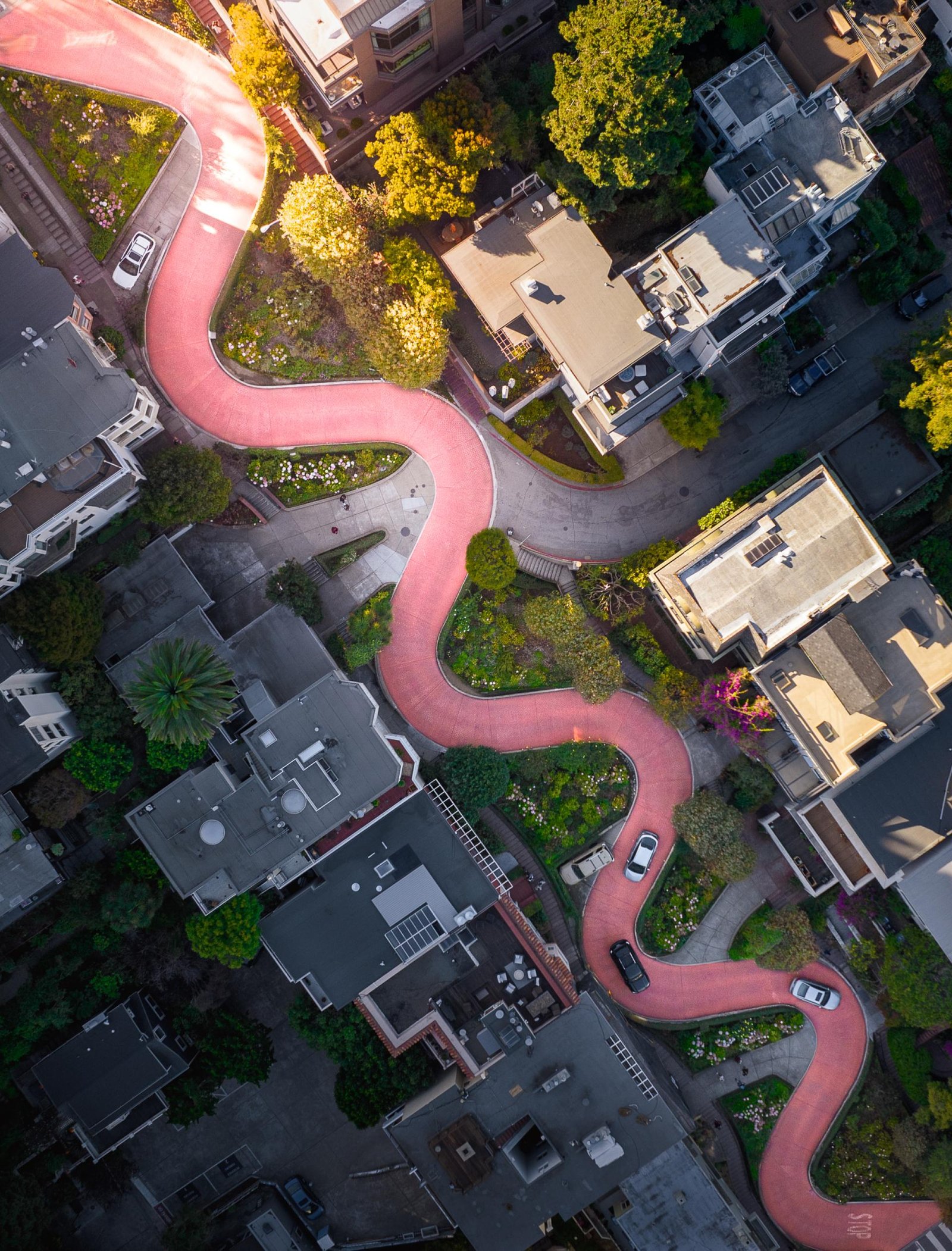 London Photography Awards Winner - The Serpent of San Francisco 