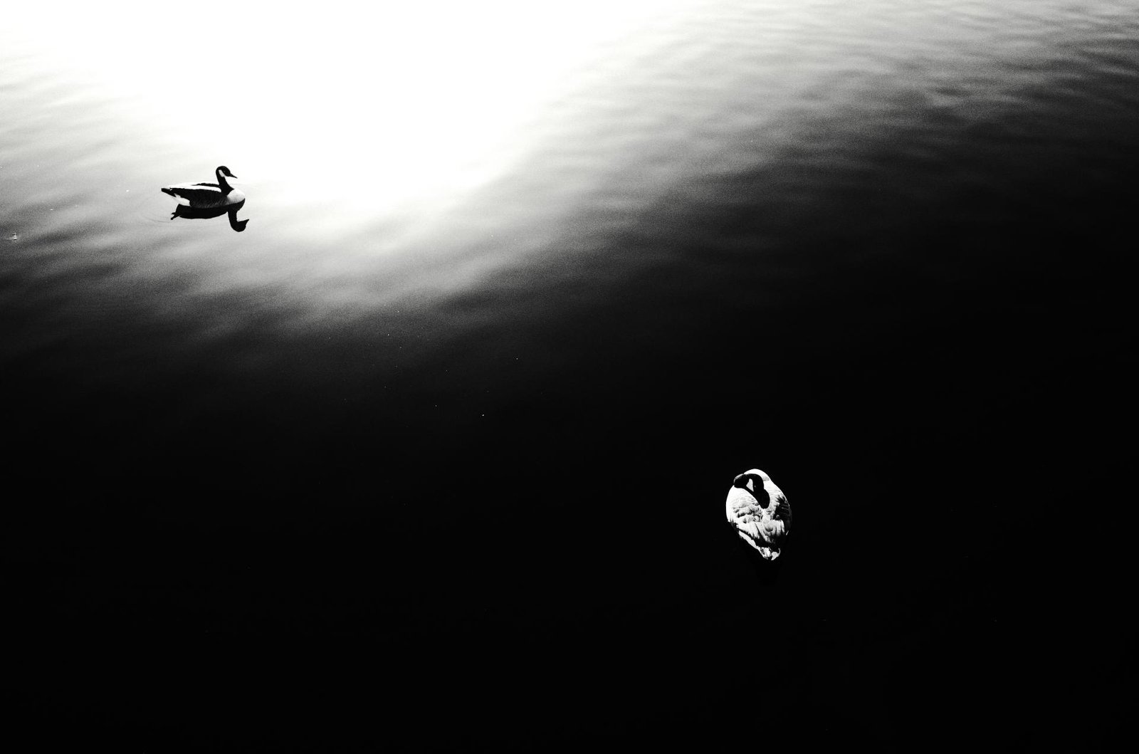 London Photography Awards Winner - Ying Yang