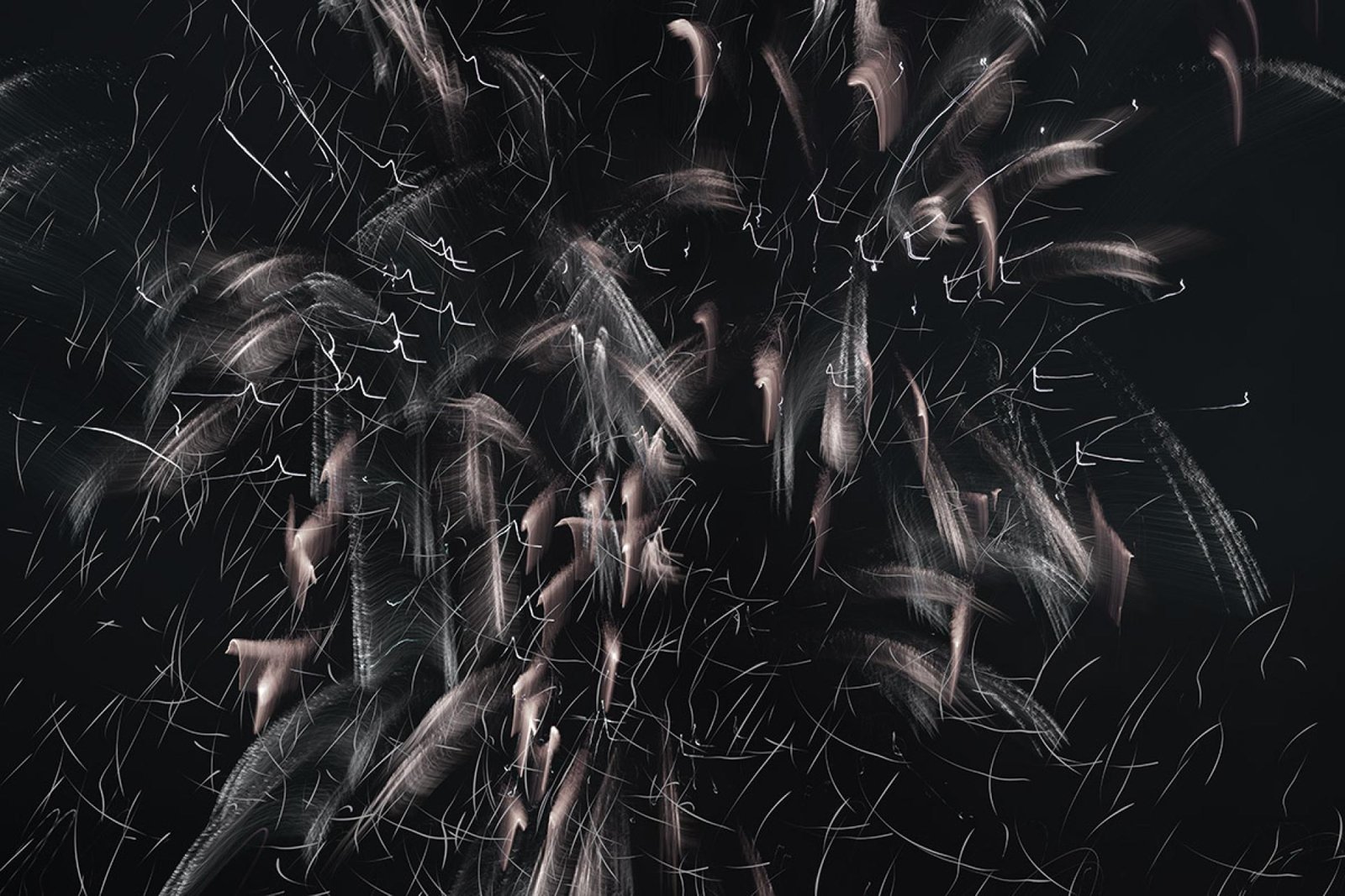 London Photography Awards Winner - The Inner World of Fireworks
