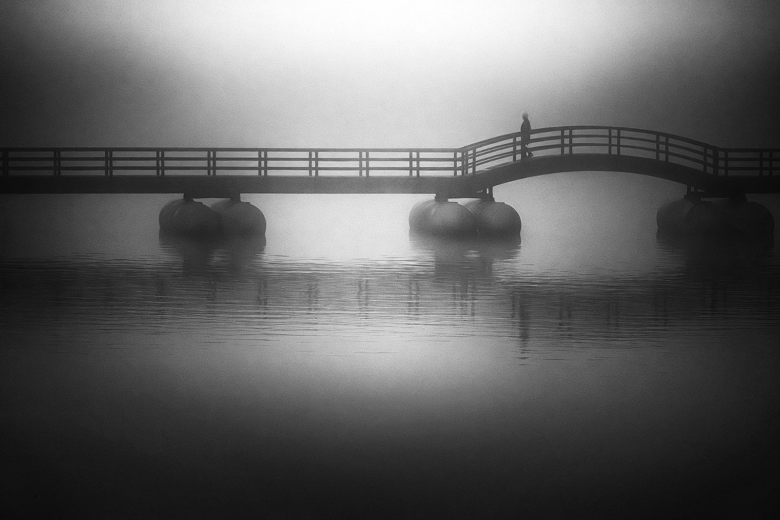 London Photography Awards Winner - Fog Walkers
