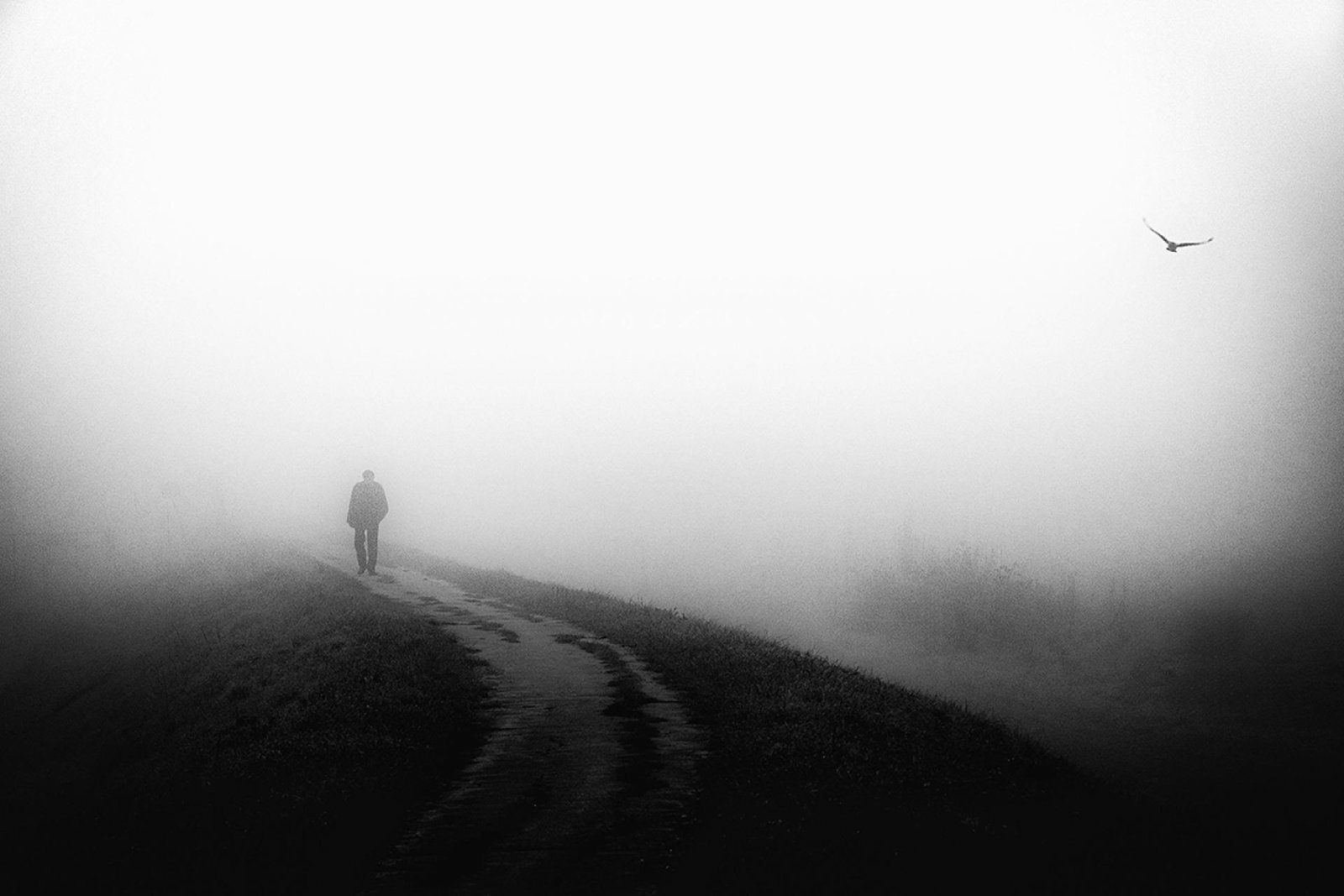 London Photography Awards Winner - Fog Walkers