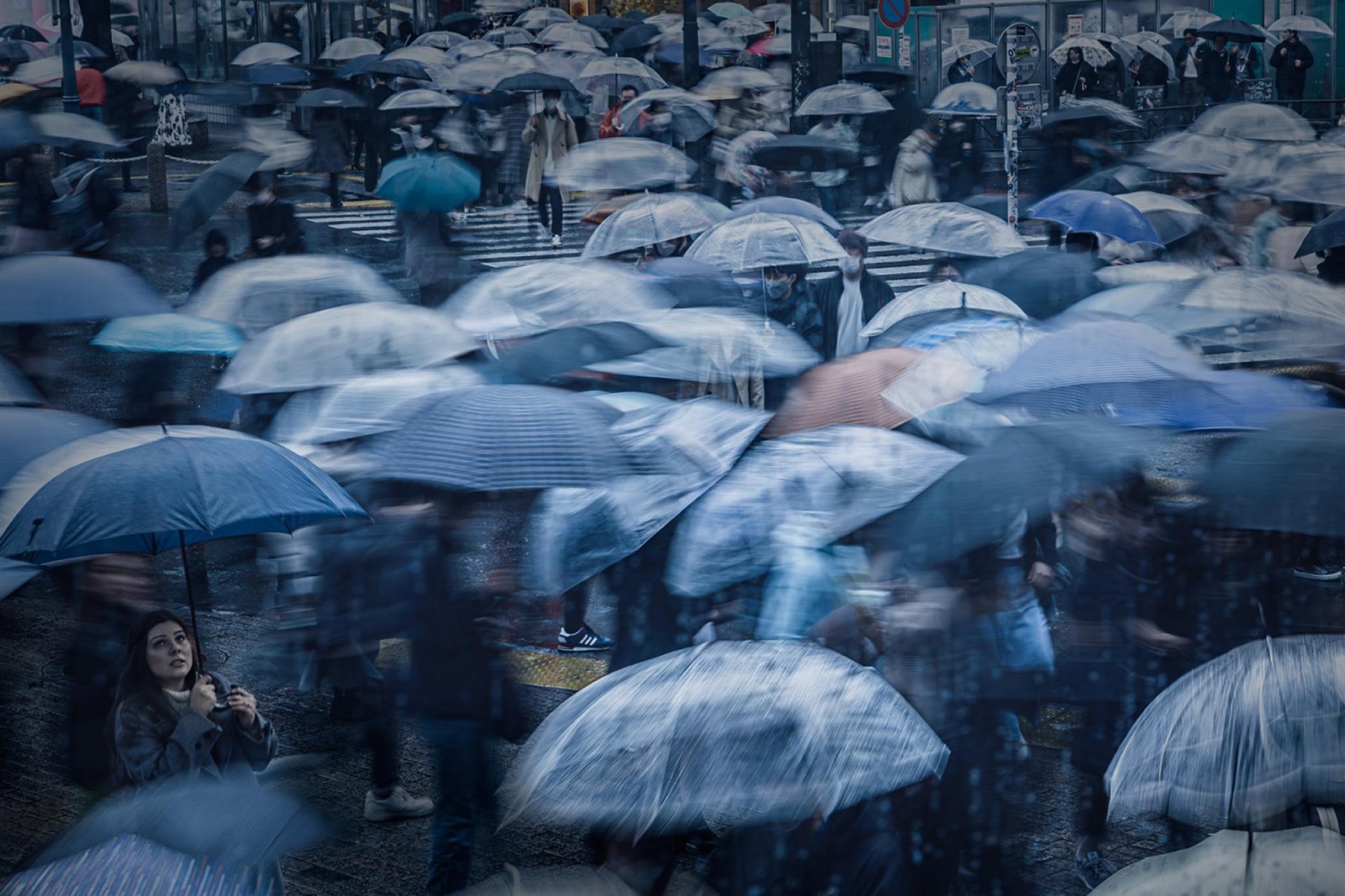 London Photography Awards Winner - RAINY BLUES