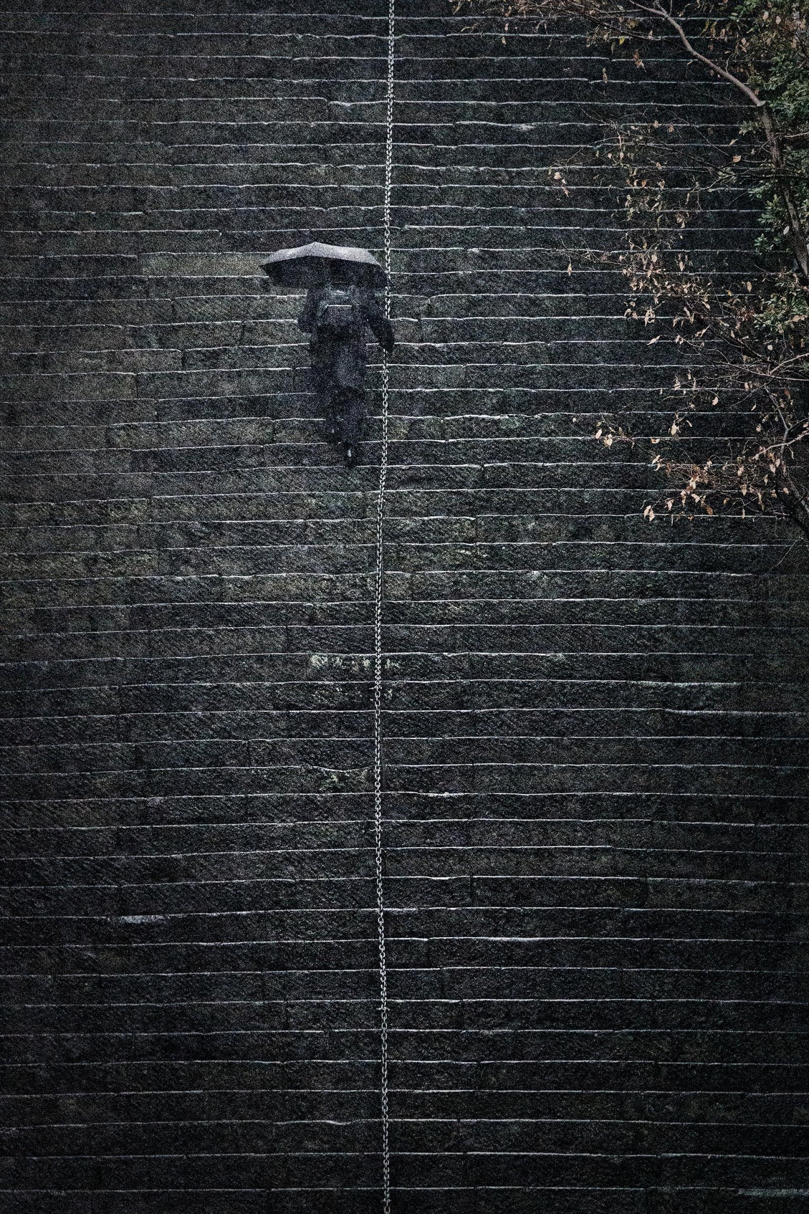 London Photography Awards Winner - THE CHAIN OF HOPE
