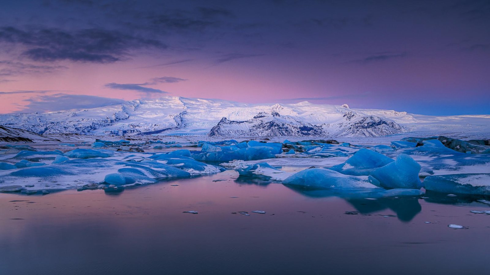 London Photography Awards Winner - Stately
