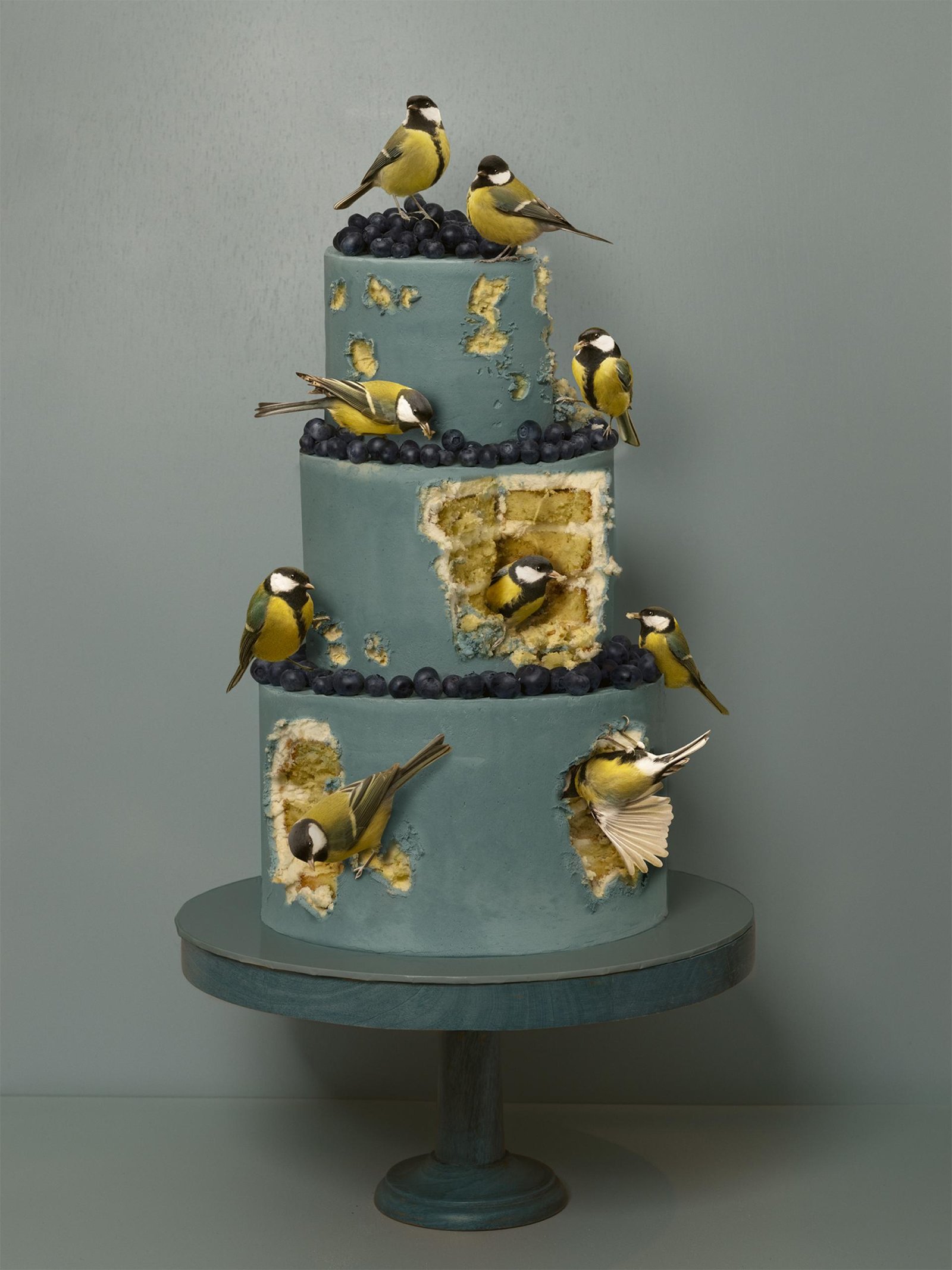 London Photography Awards Winner - Feathered Fables