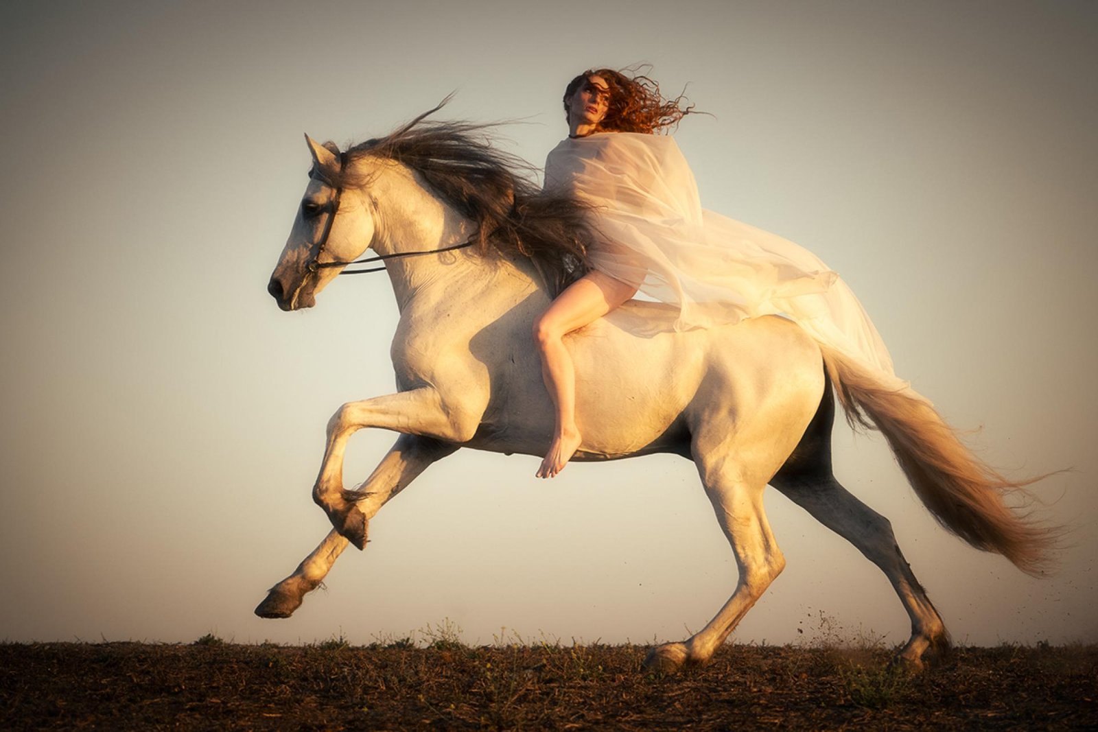 London Photography Awards Winner - Wind Dancers