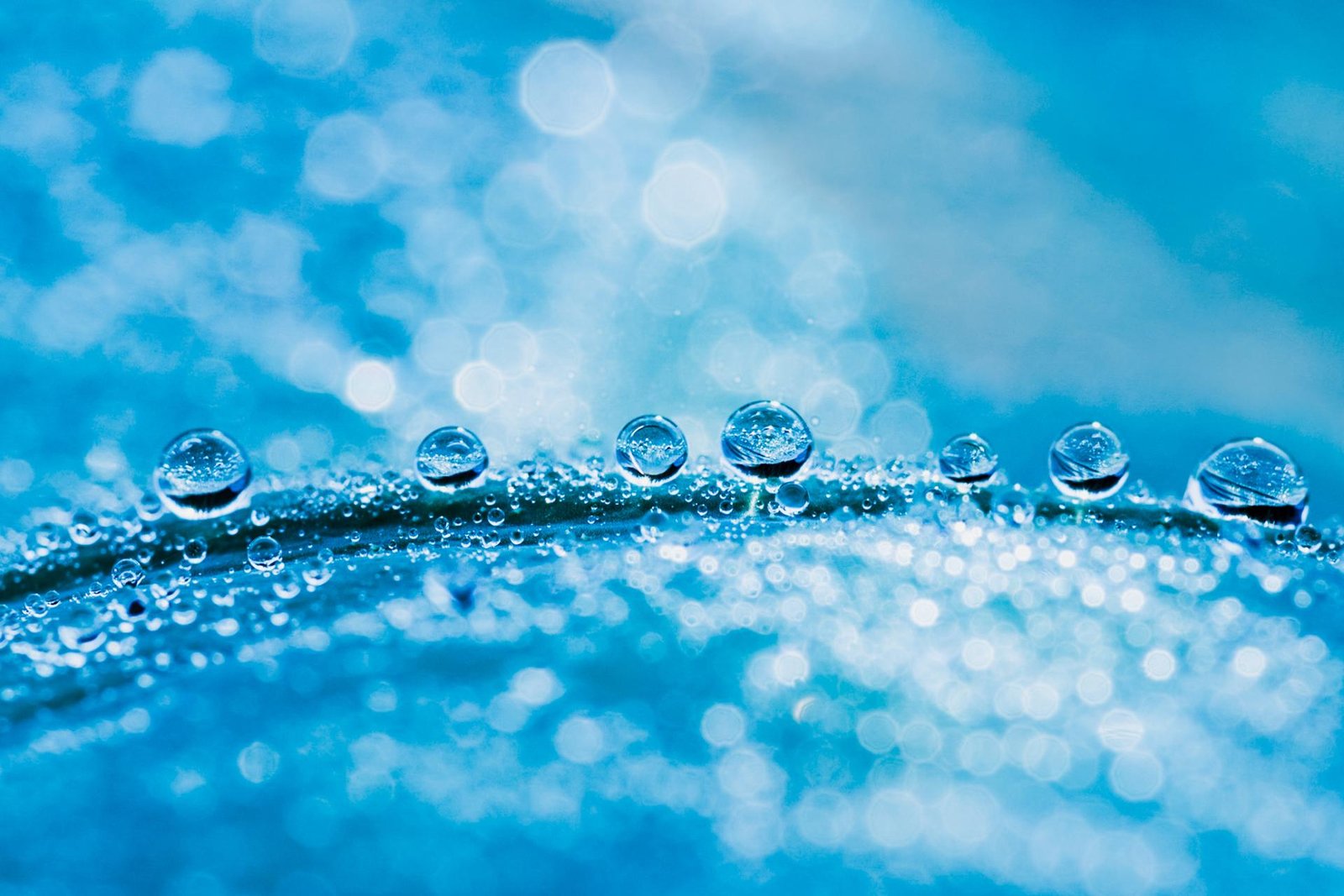 London Photography Awards Winner - Aqua Genesis