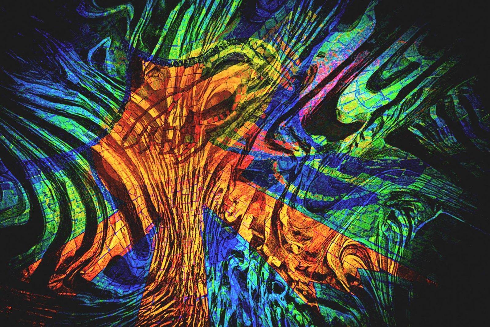 London Photography Awards Winner - Viridescent Visuality