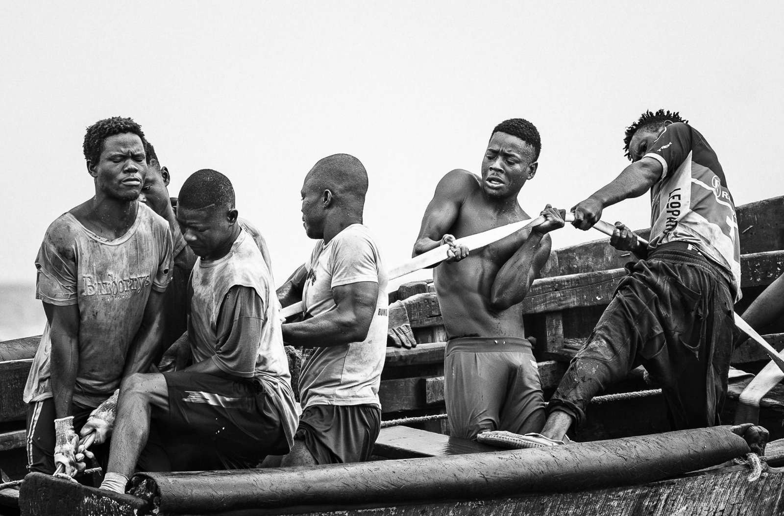 London Photography Awards Winner - Taming a giant