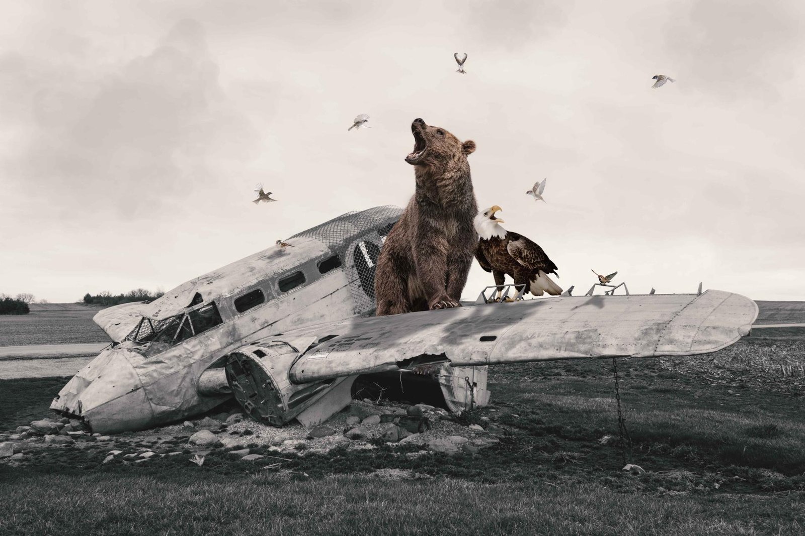 London Photography Awards Winner - The Forgotten Journey