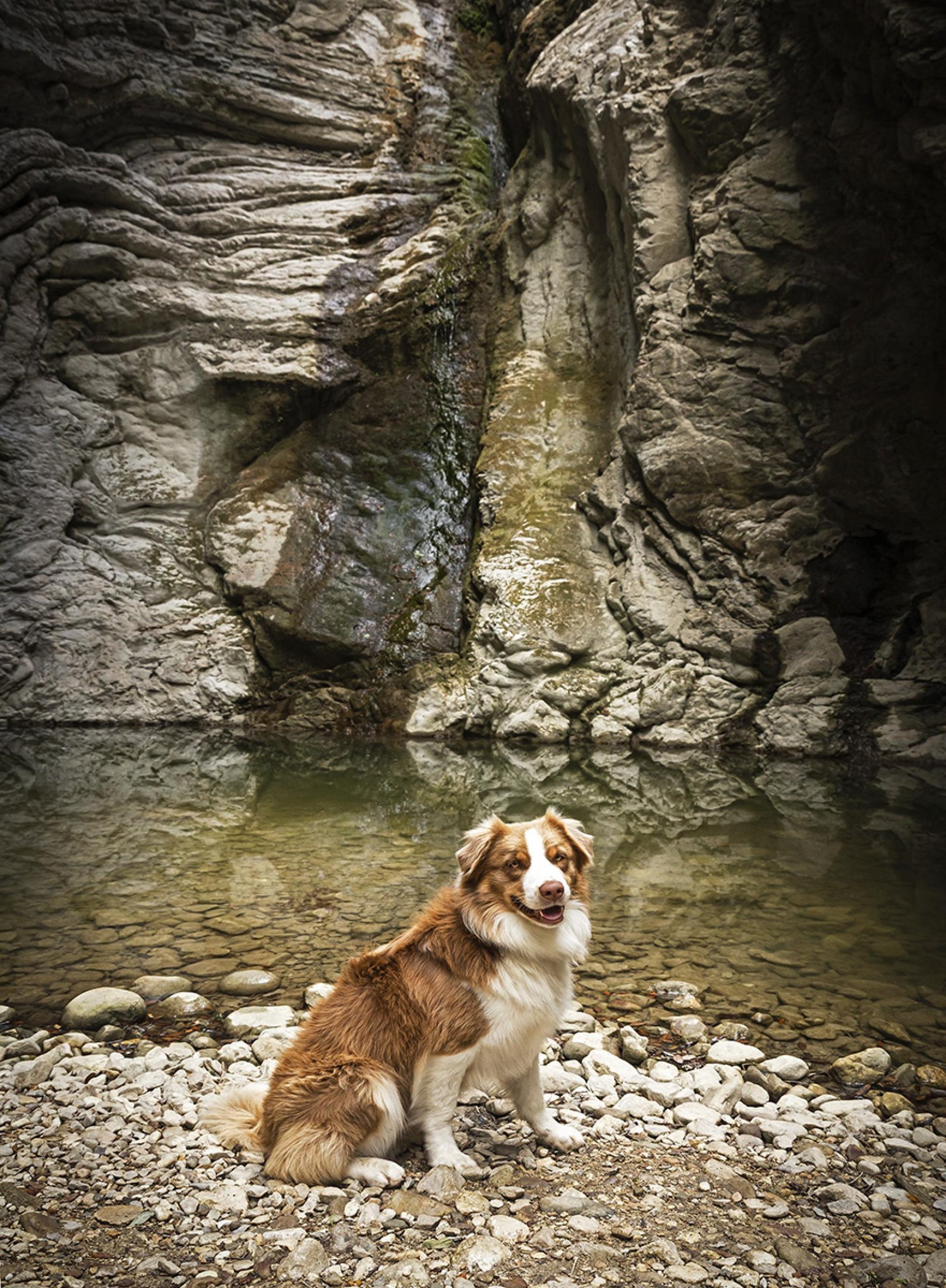 London Photography Awards Winner - Under the waterfall