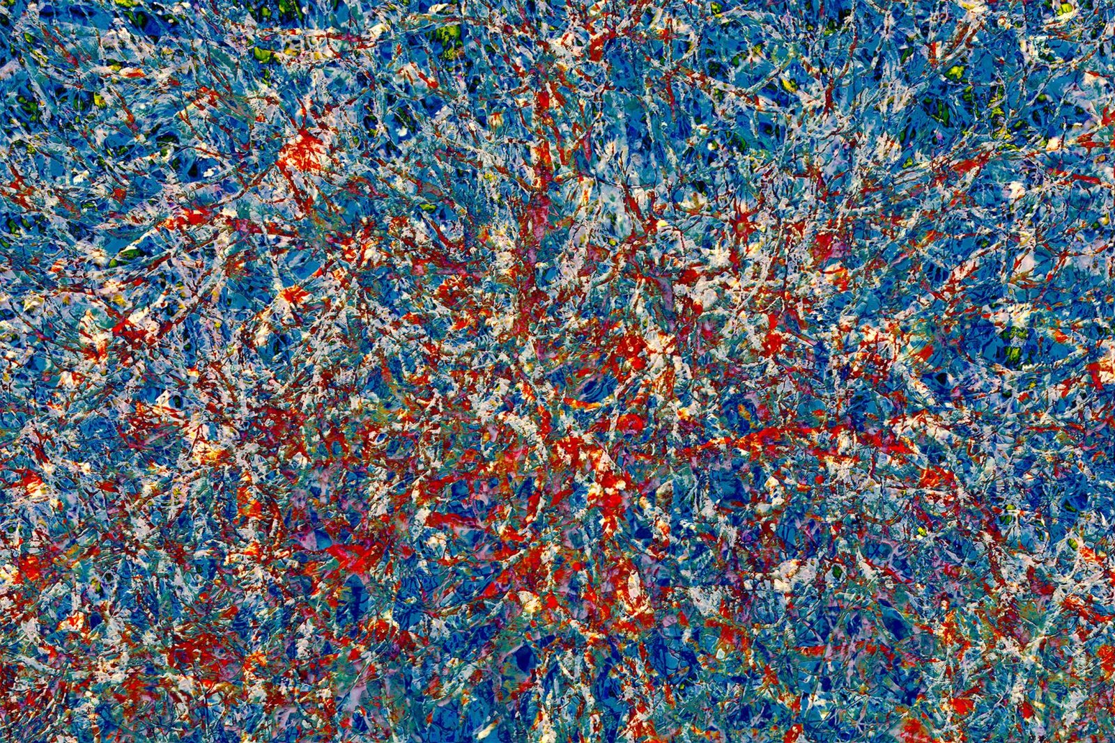 London Photography Awards Winner - Fig Trees - Color Burst 1