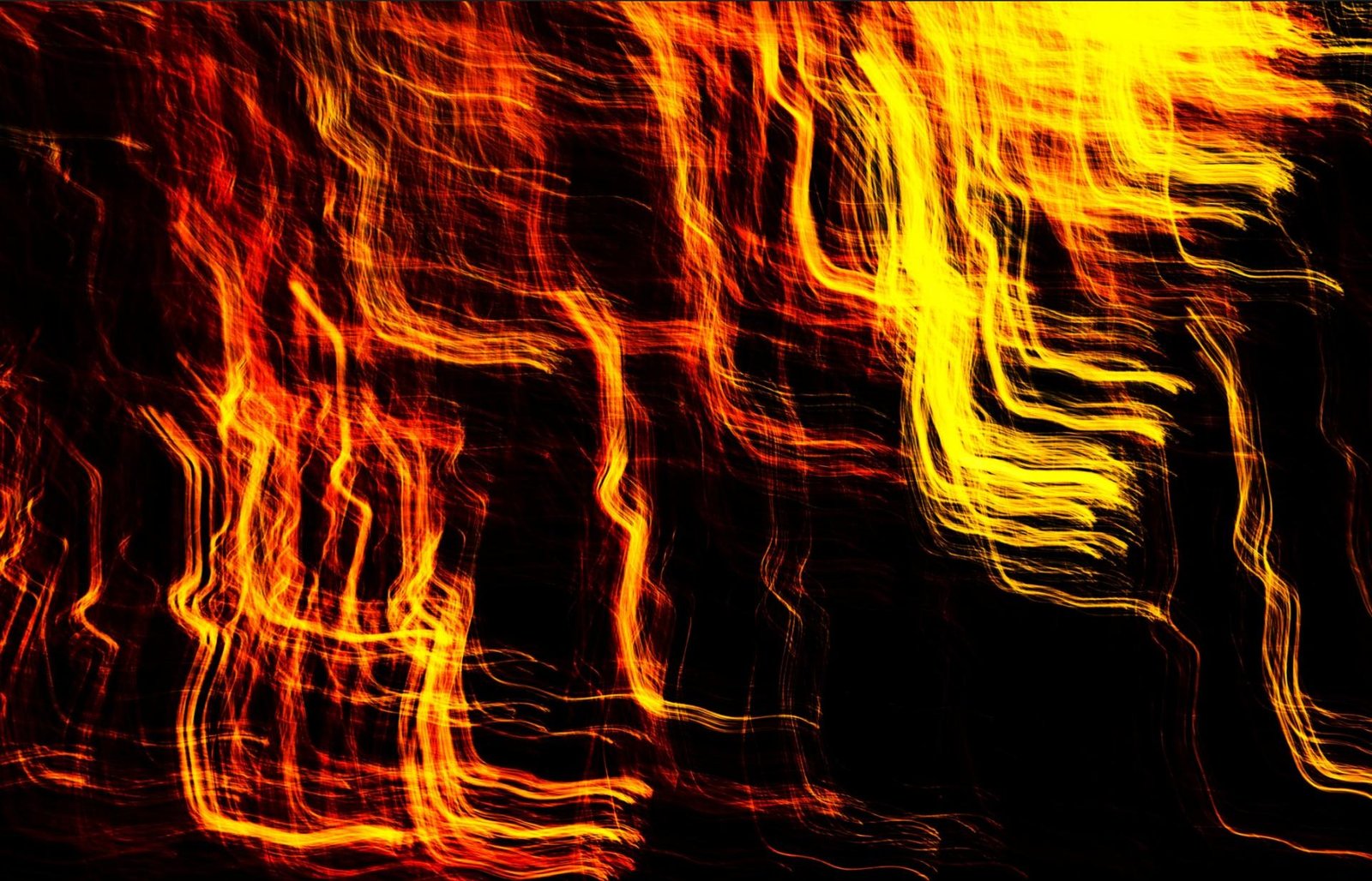 London Photography Awards Winner - Flame Forest