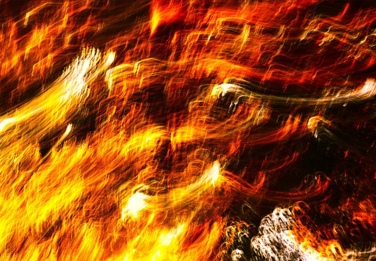 London Photography Awards Winner - Flame Forest