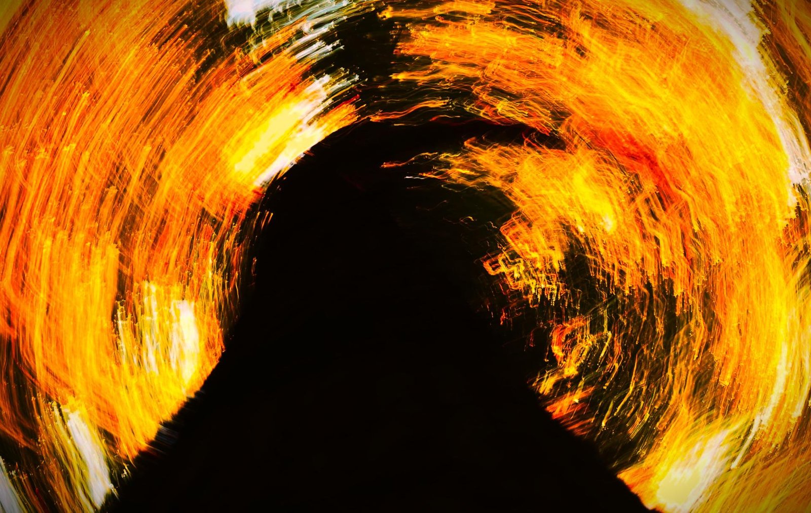 London Photography Awards Winner - Flame Forest