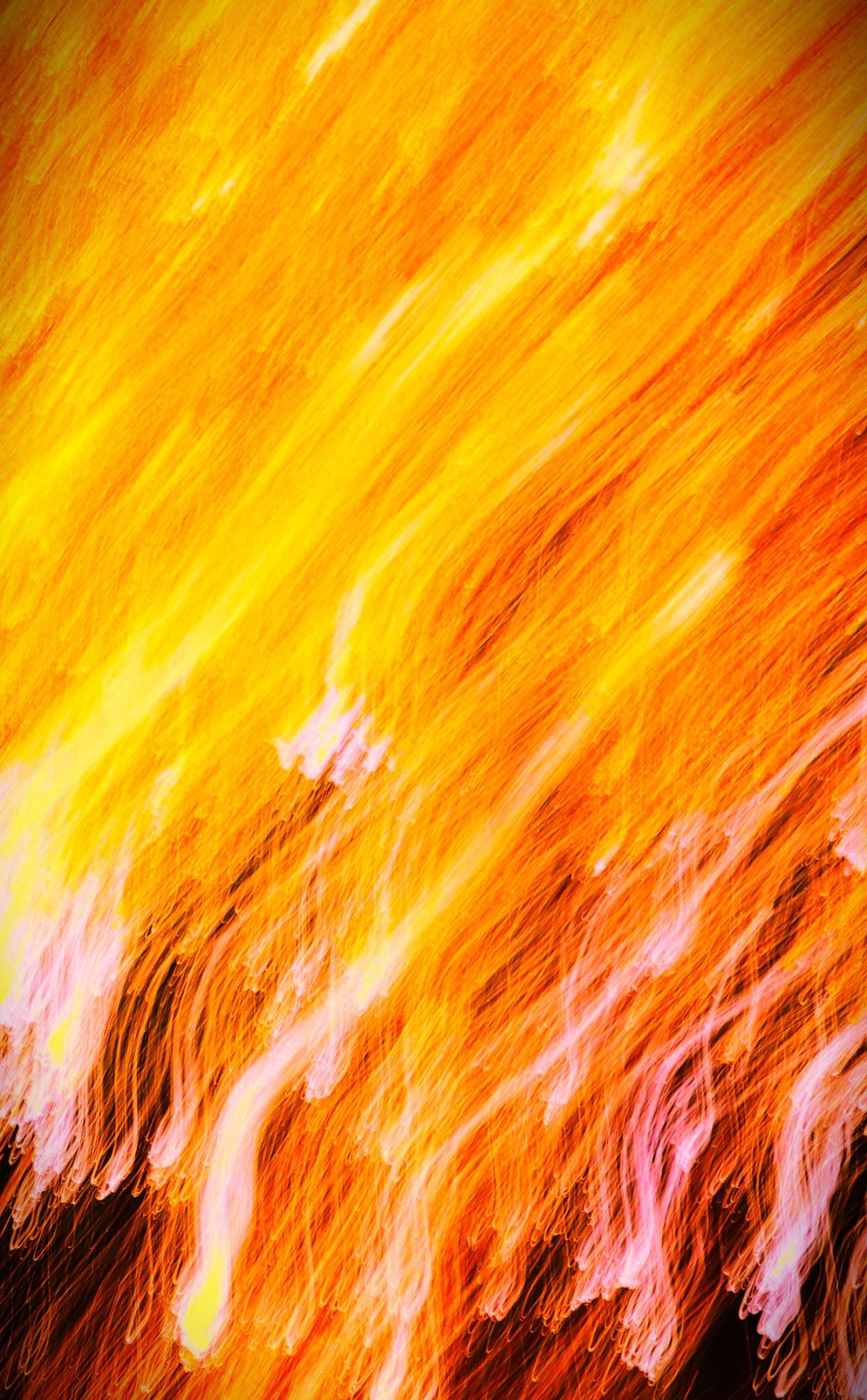 London Photography Awards Winner - Flame Forest