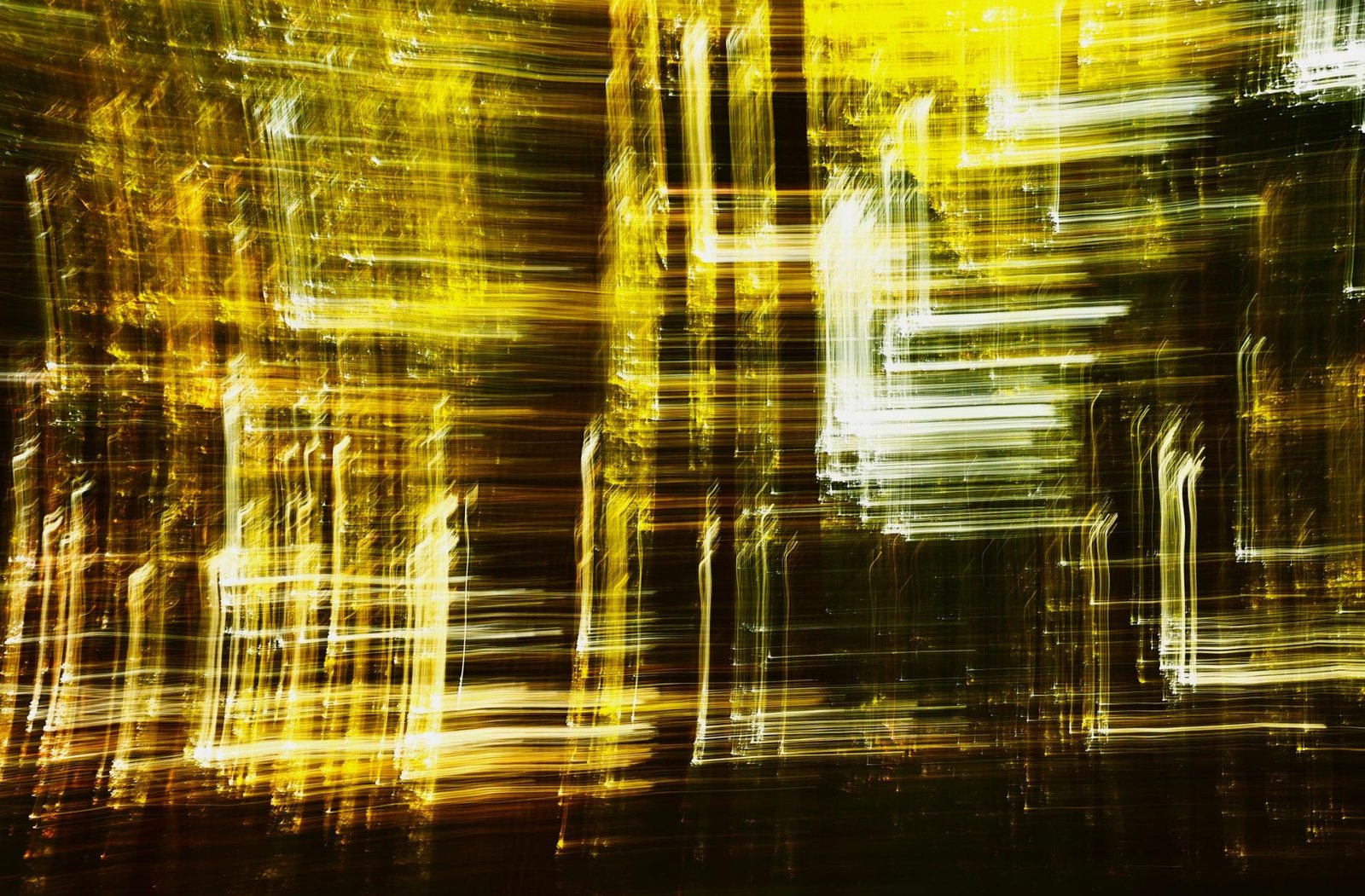 London Photography Awards Winner - Leaves of Light