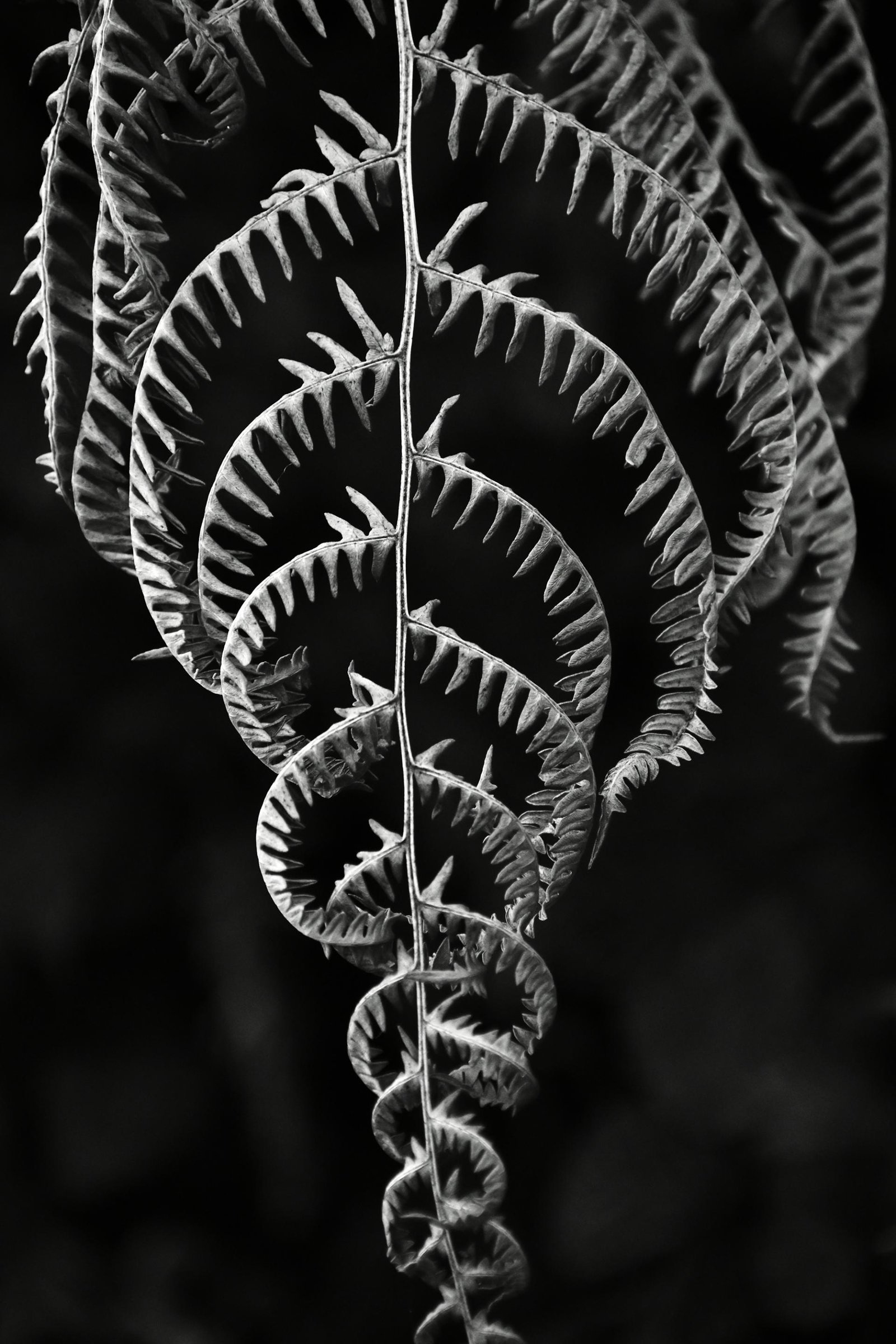 London Photography Awards Winner - Jagged edge