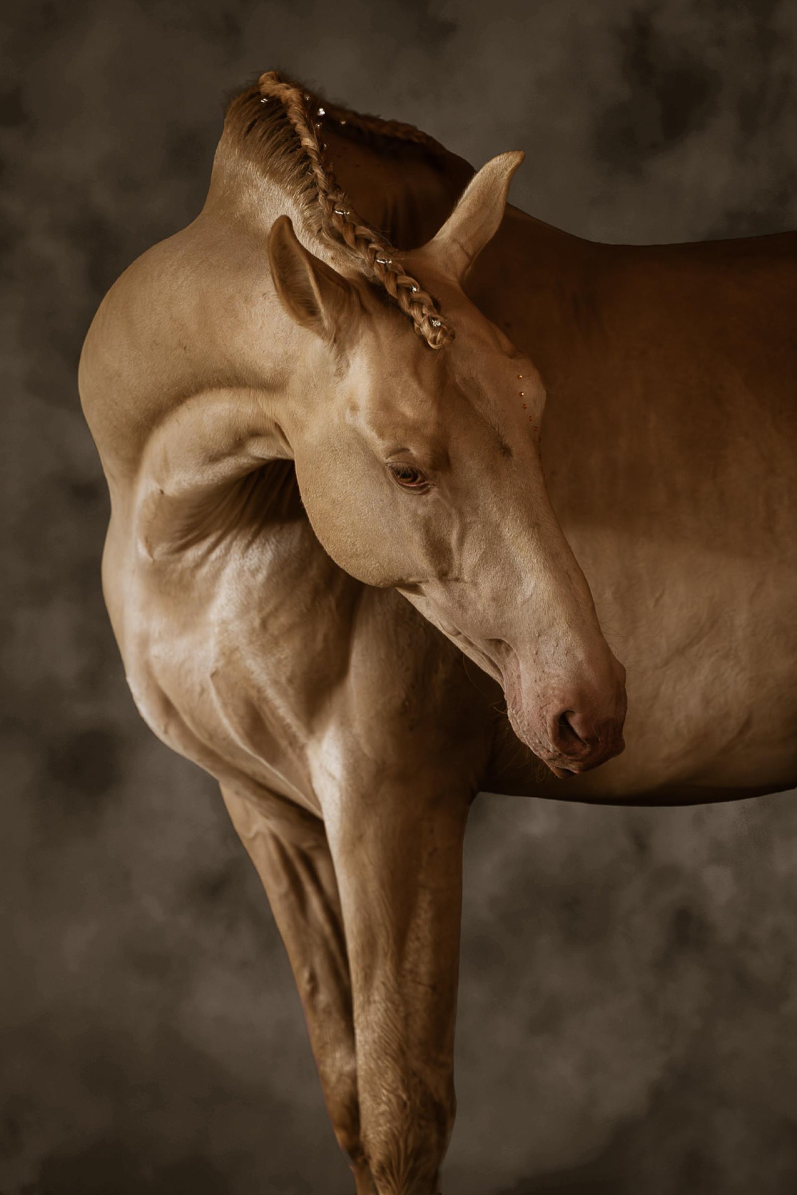 London Photography Awards Winner - Aureate