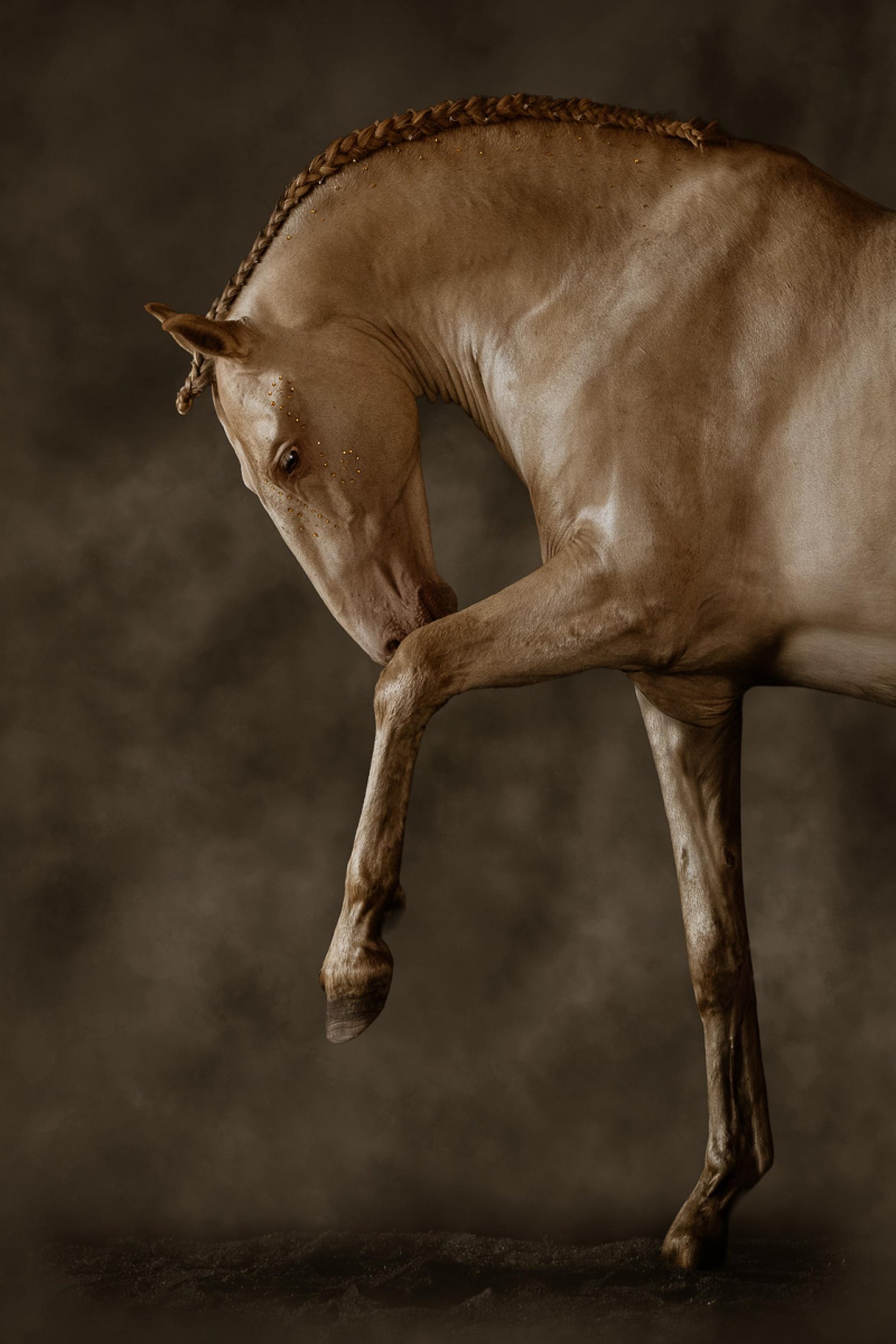 London Photography Awards Winner - Aureate