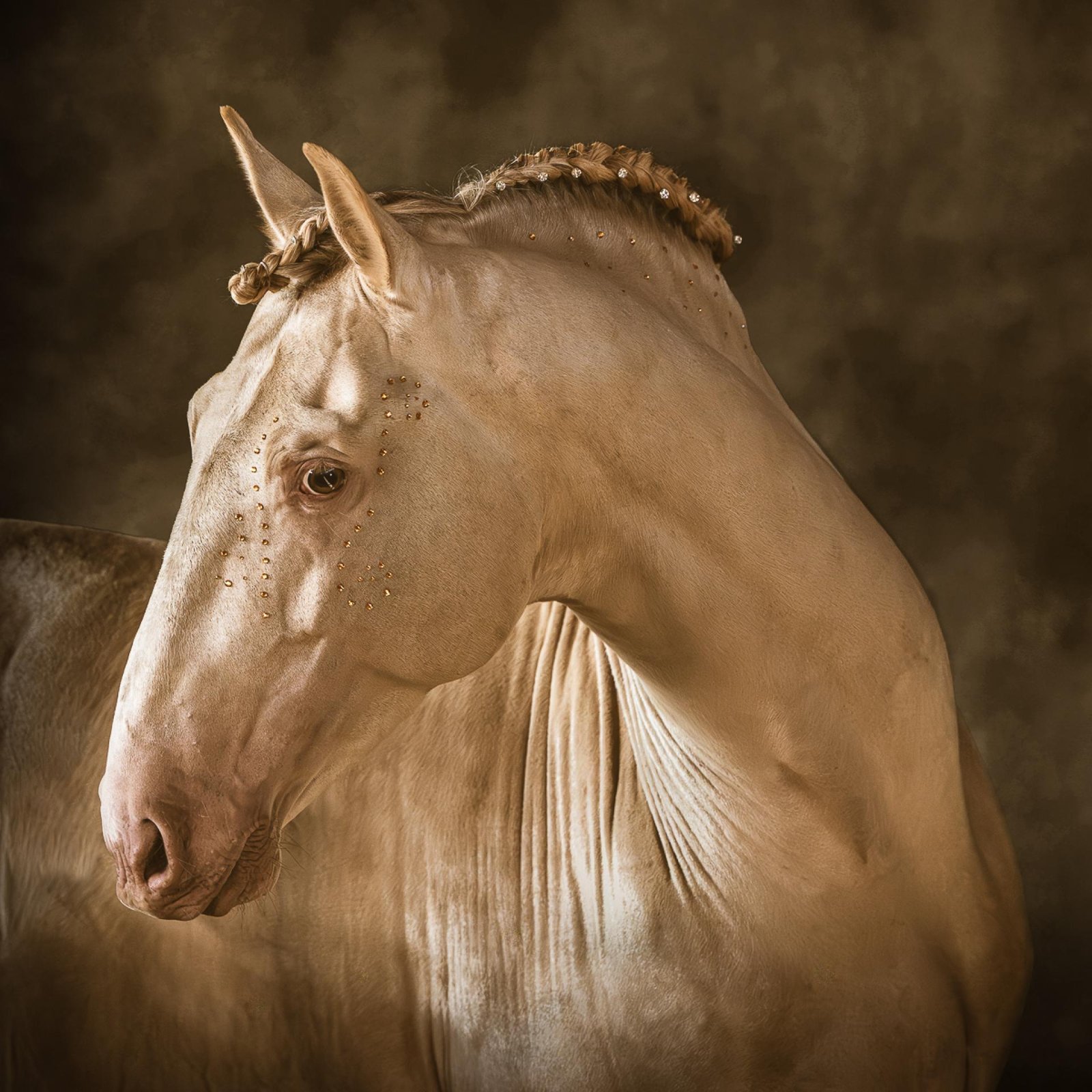 London Photography Awards Winner - Aureate I